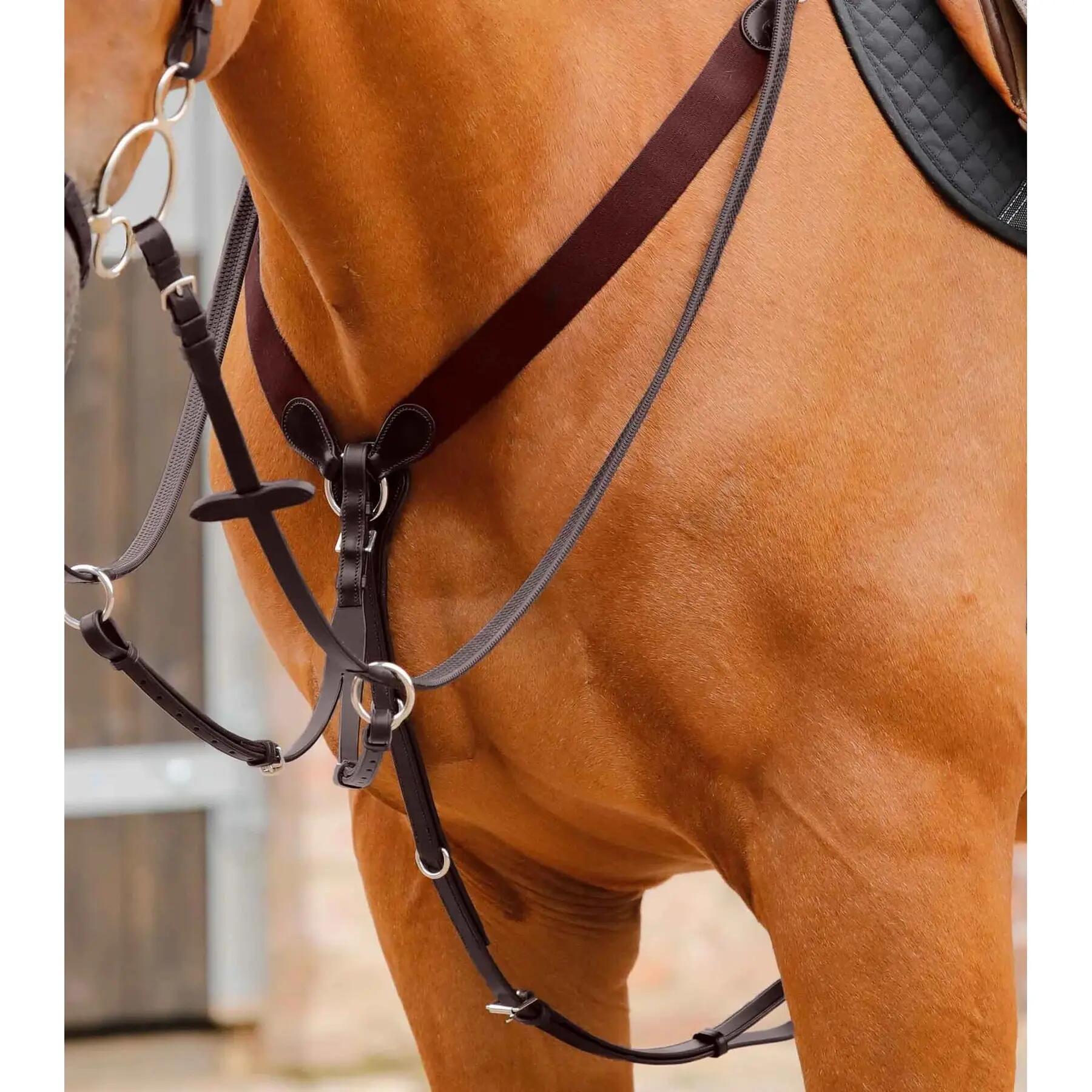 Martingala per cavalli Premier Equine Baressa 4/5