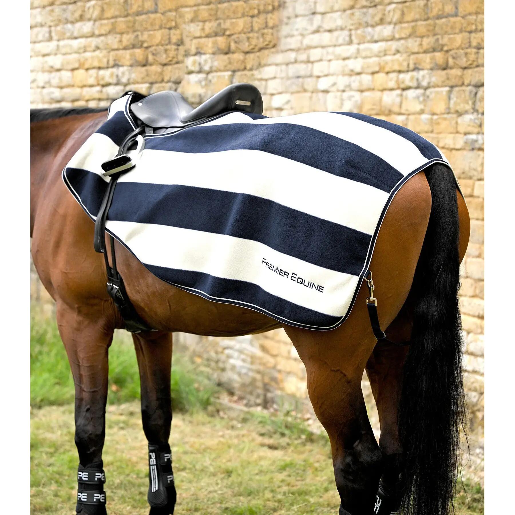 PREMIER EQUINE picture