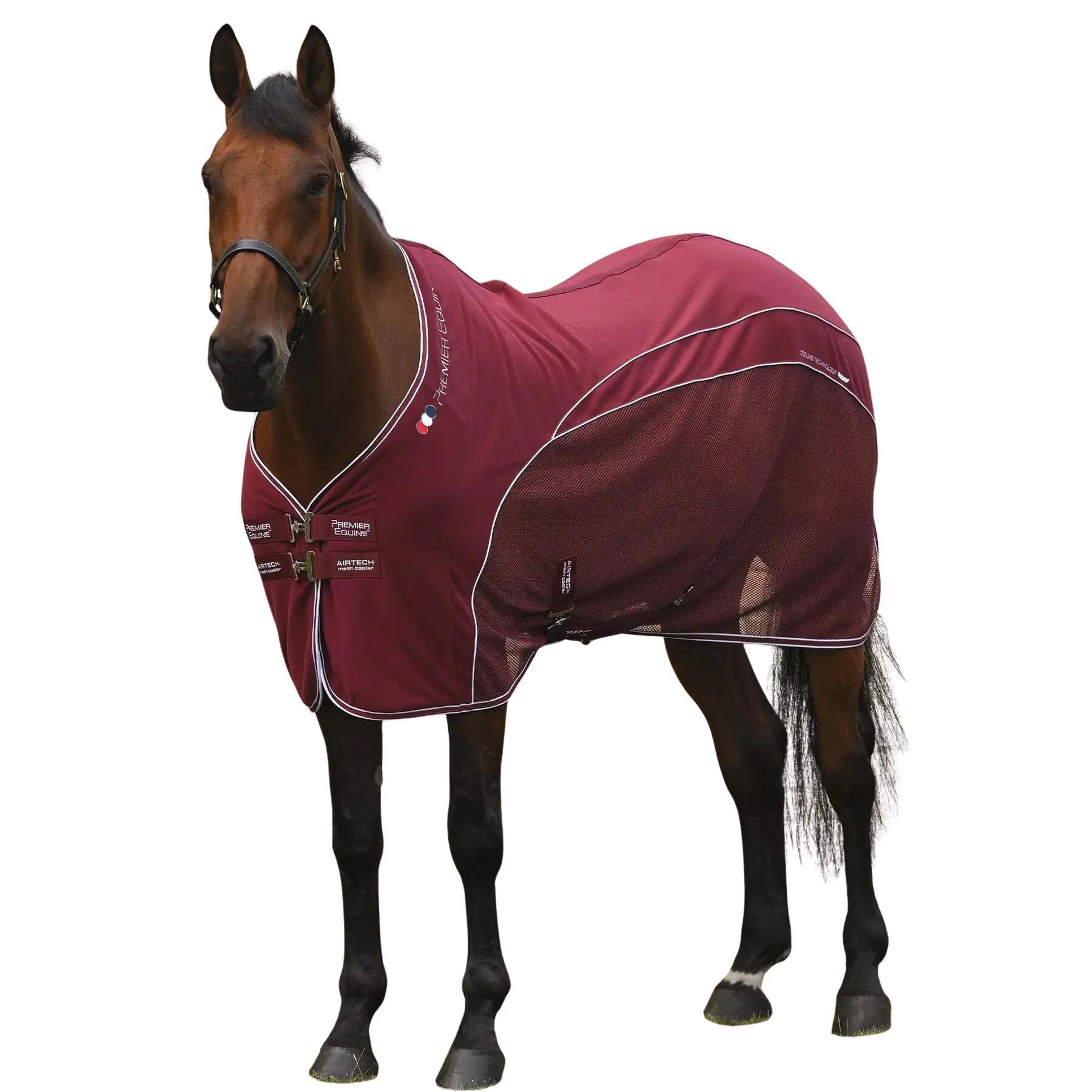 PREMIER EQUINE picture