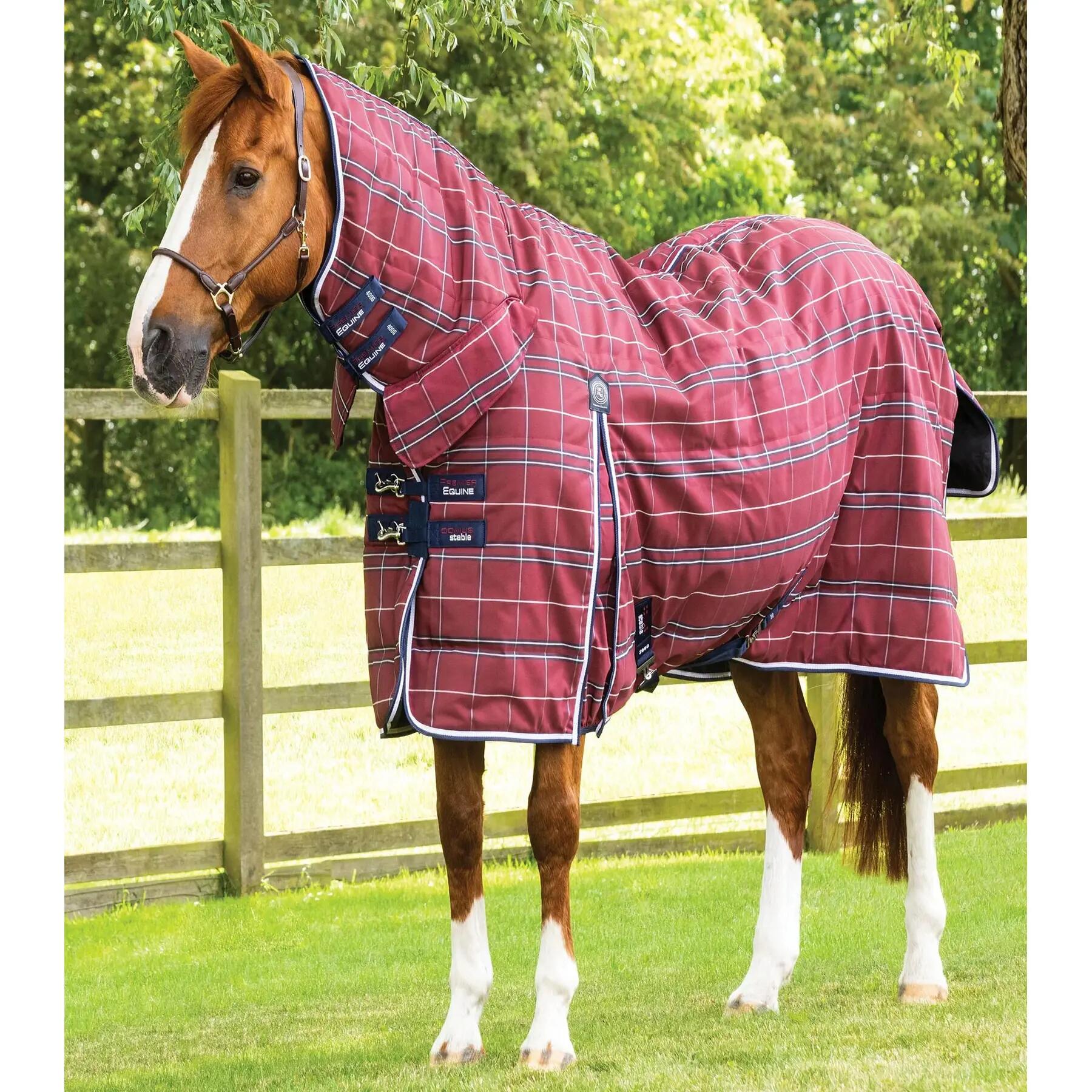 PREMIER EQUINE picture