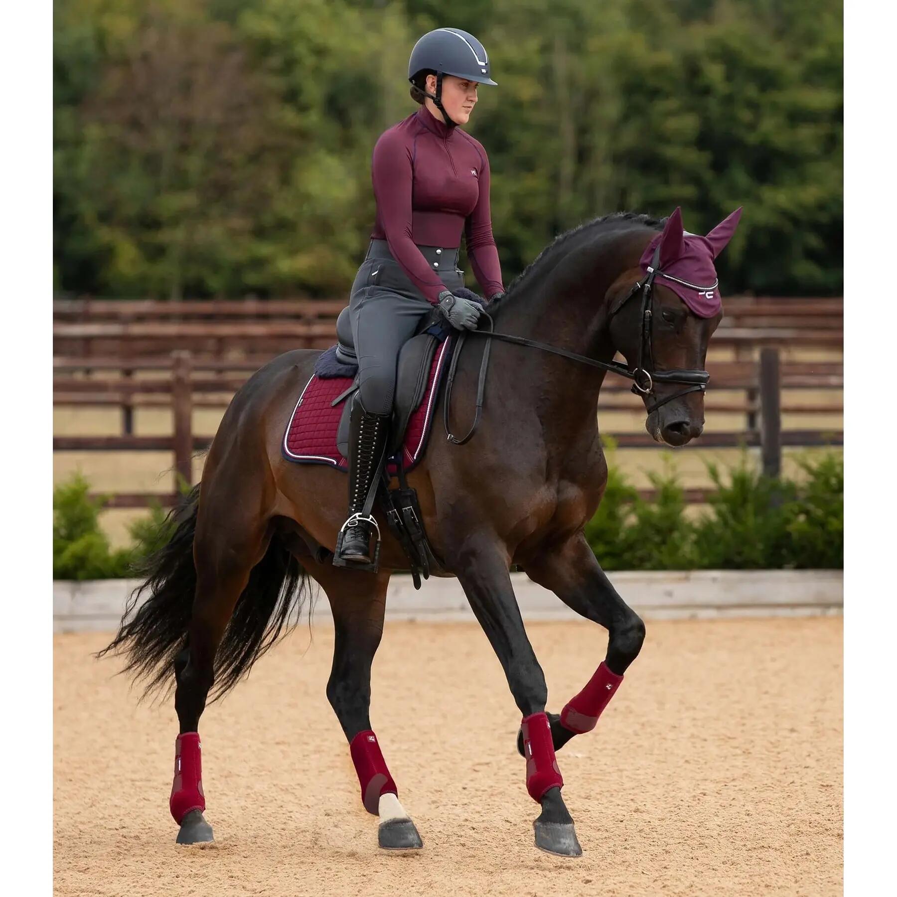 PREMIER EQUINE picture