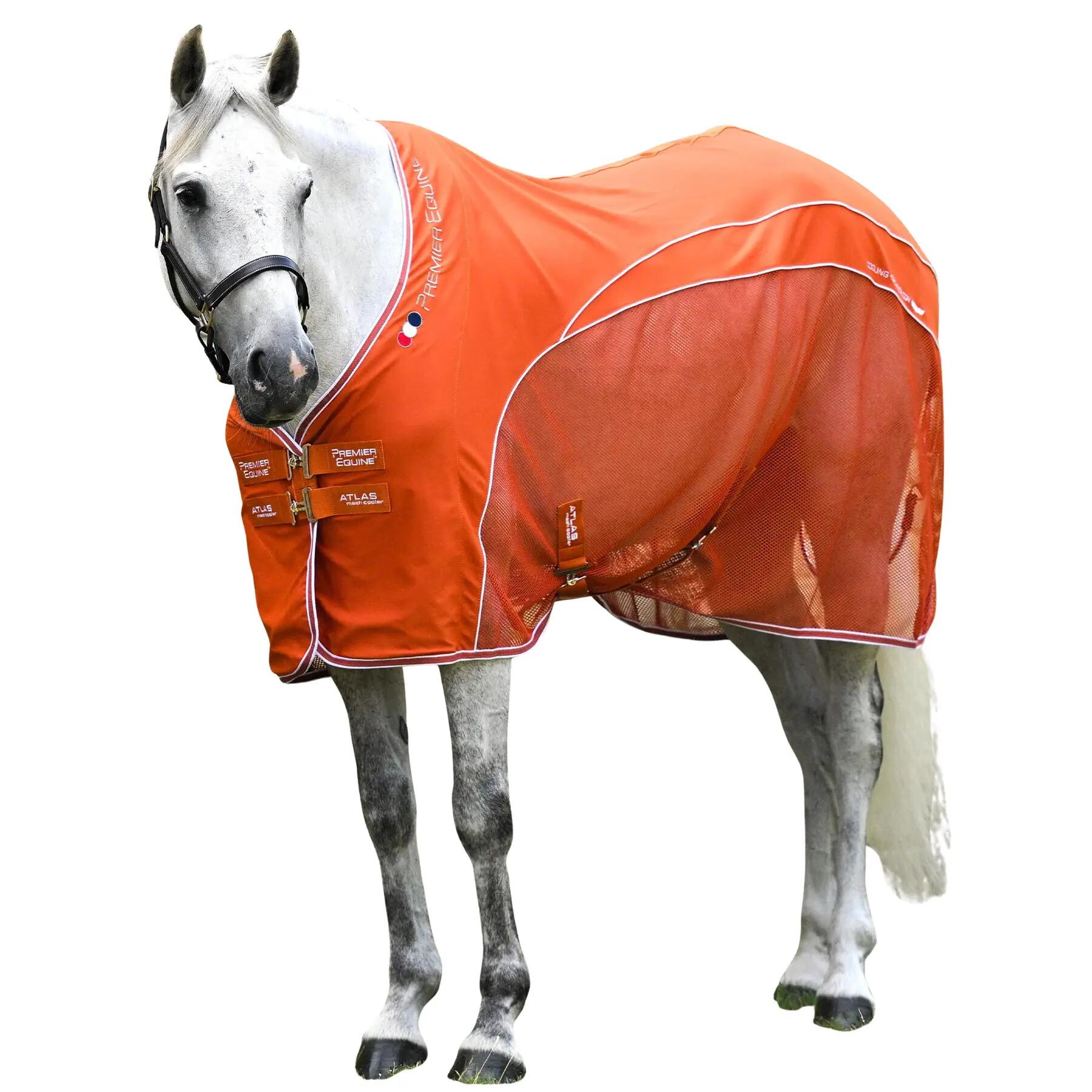 PREMIER EQUINE picture