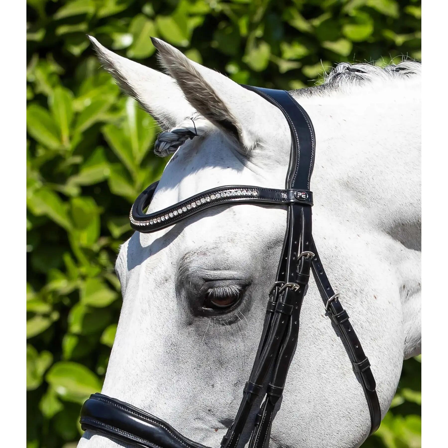 Doppia briglia anatomica Premier Equine Abriano 2/4