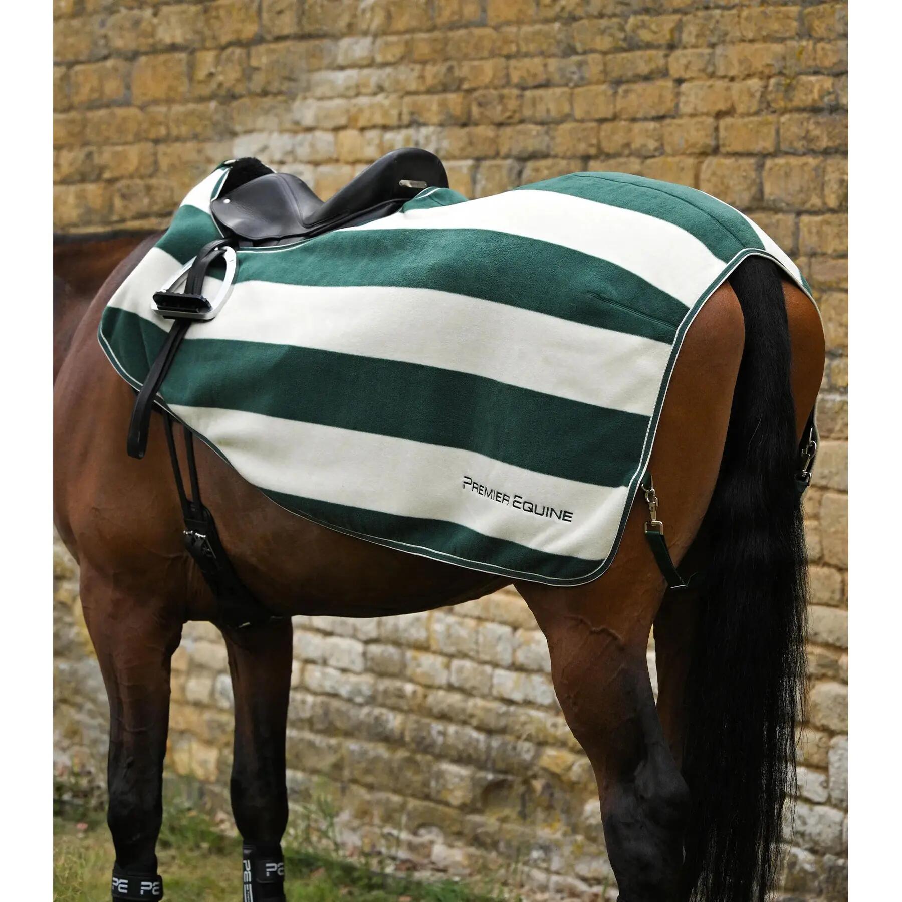 Pantalon équitation full grip femme Premier Equine Elixir PREMIER