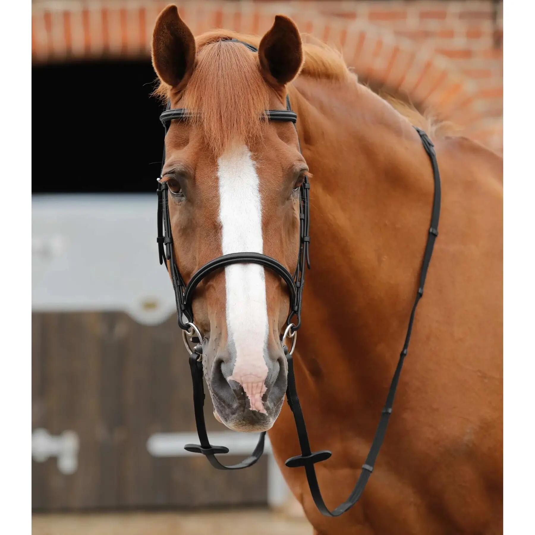 Horse Reins Premier Equine Altare Web 2/5