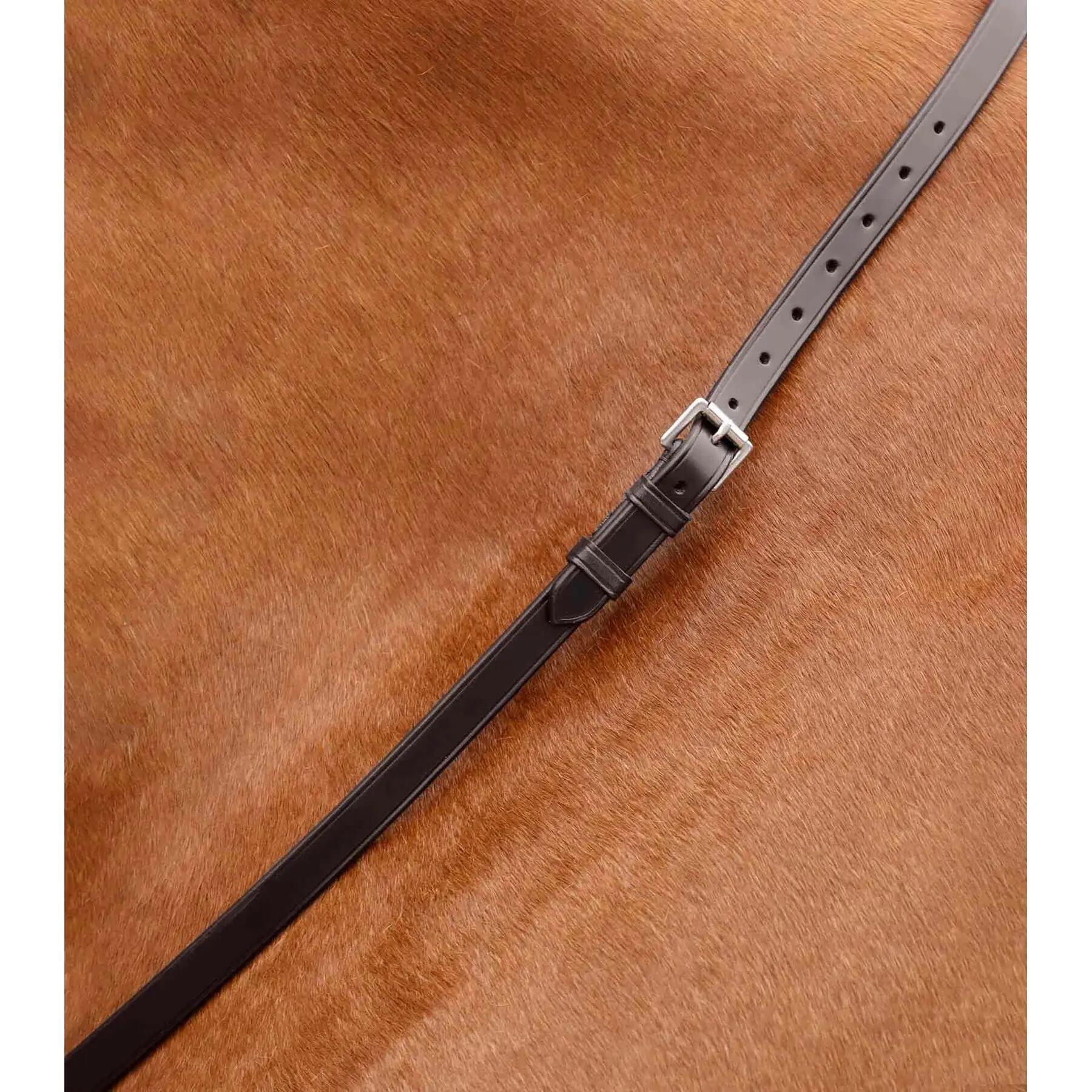 Sangle de cou pour cheval Premier Equine Altino 3/4