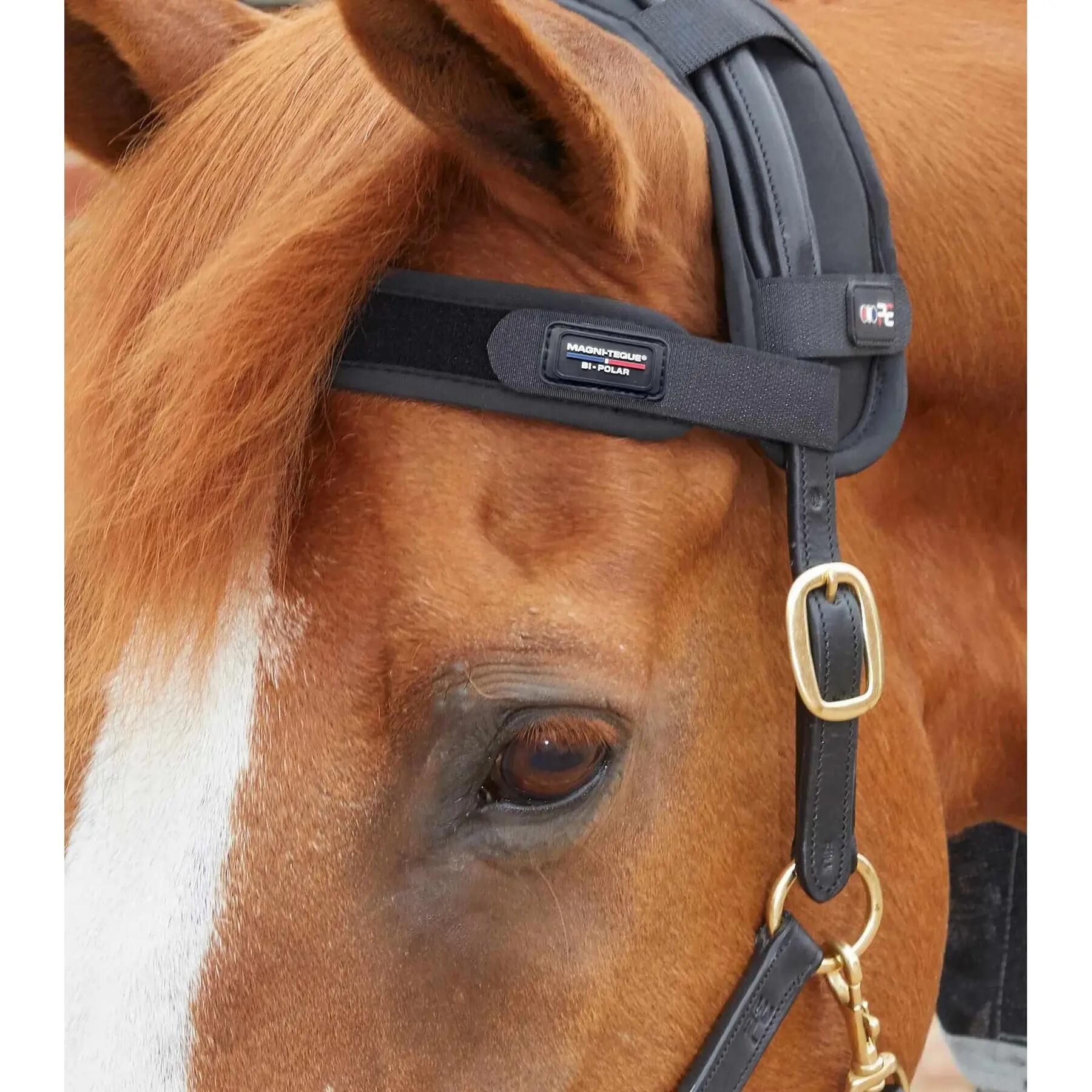 Frontal pour cheval magnétique Premier Equine Magni-Teque 3/4