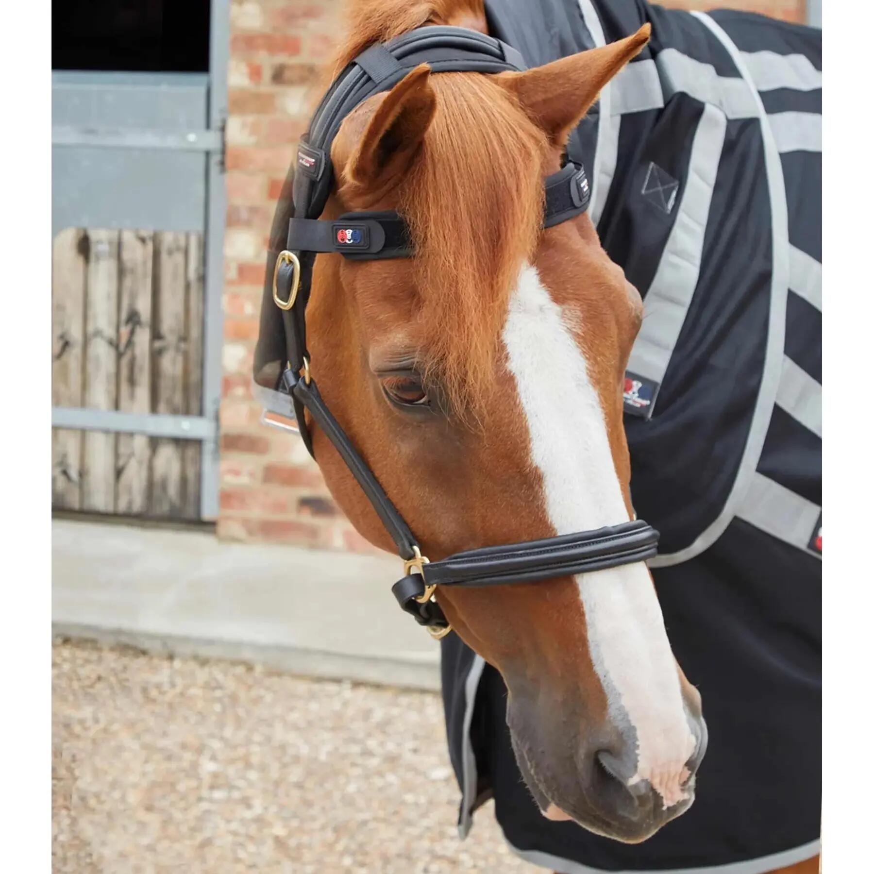 Frontal pour cheval magnétique Premier Equine Magni-Teque 2/4