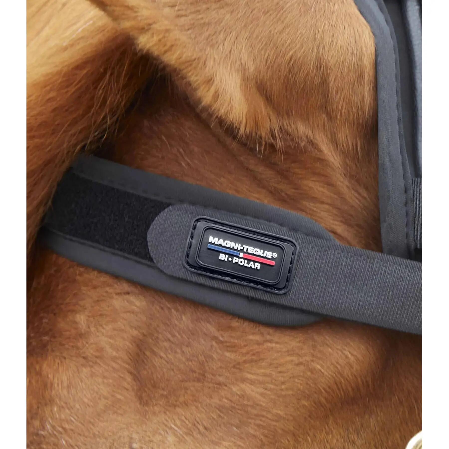 Frontal pour cheval magnétique Premier Equine Magni-Teque 4/4