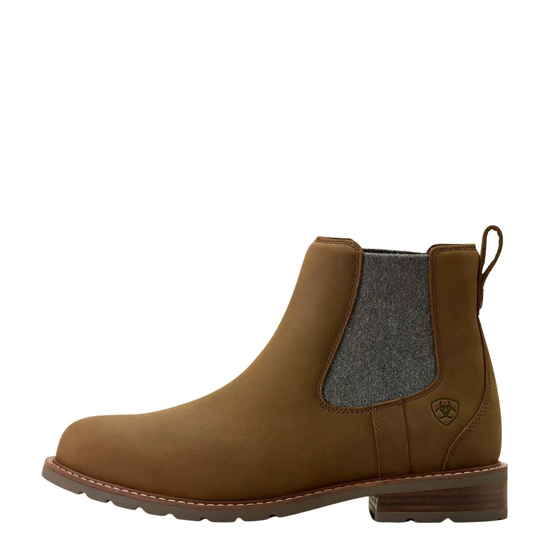 ARIAT picture