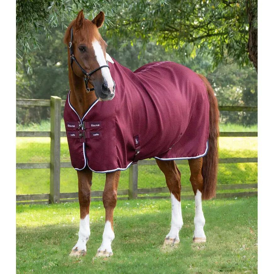 PREMIER EQUINE picture