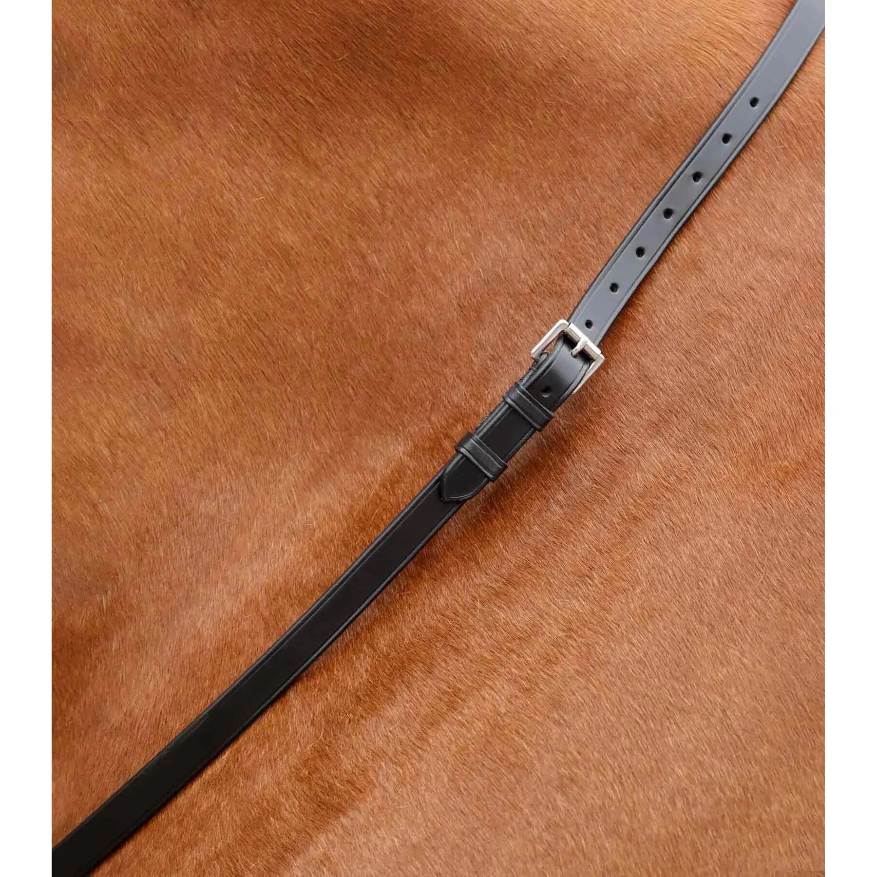 Nekriem voor paarden Premier Equine Altino 4/4