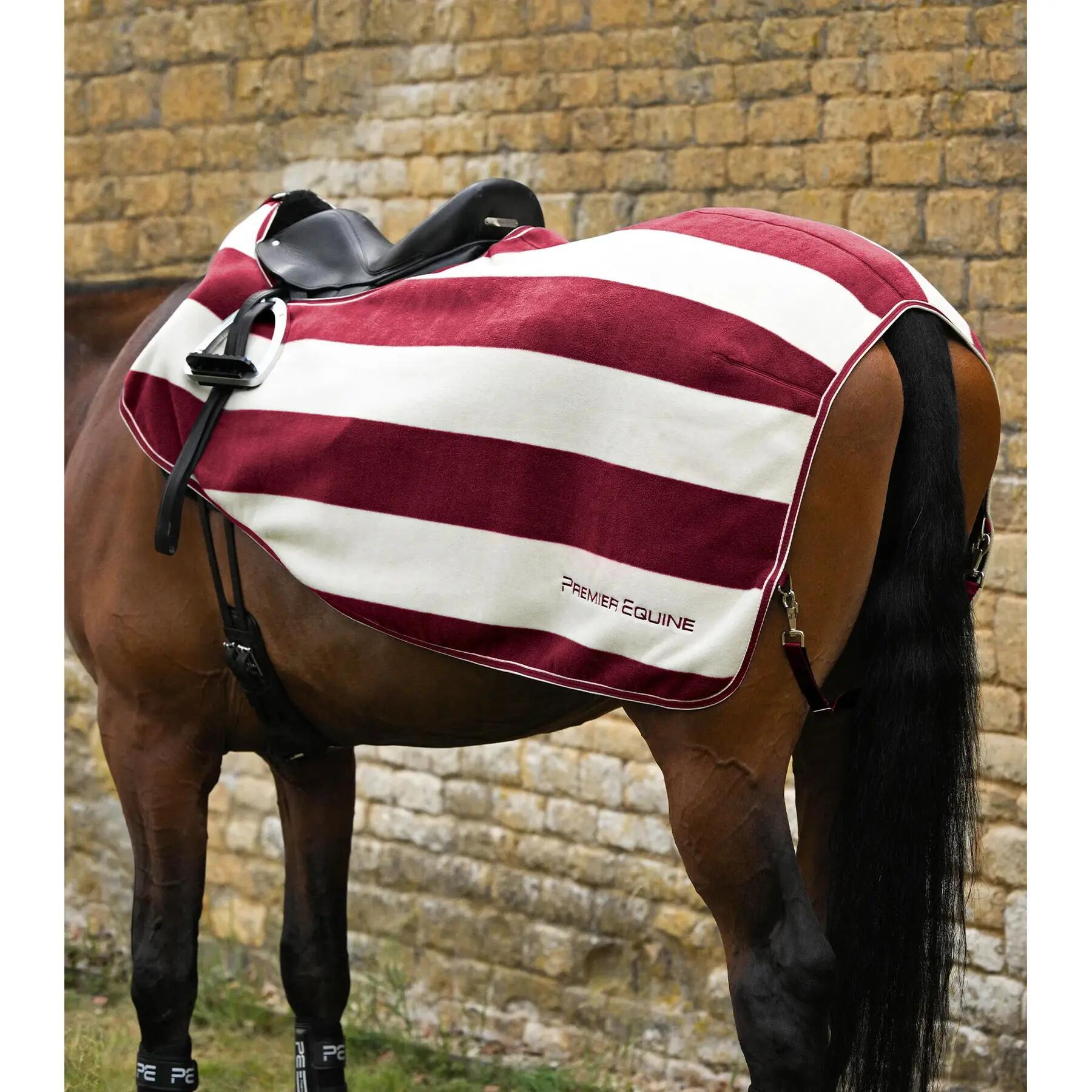 PREMIER EQUINE picture