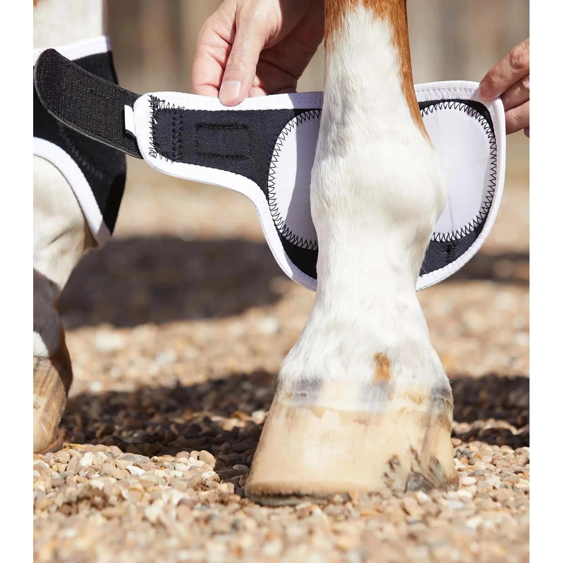 Magnetic horse bells Premier Equine Magni-Teque 3/5