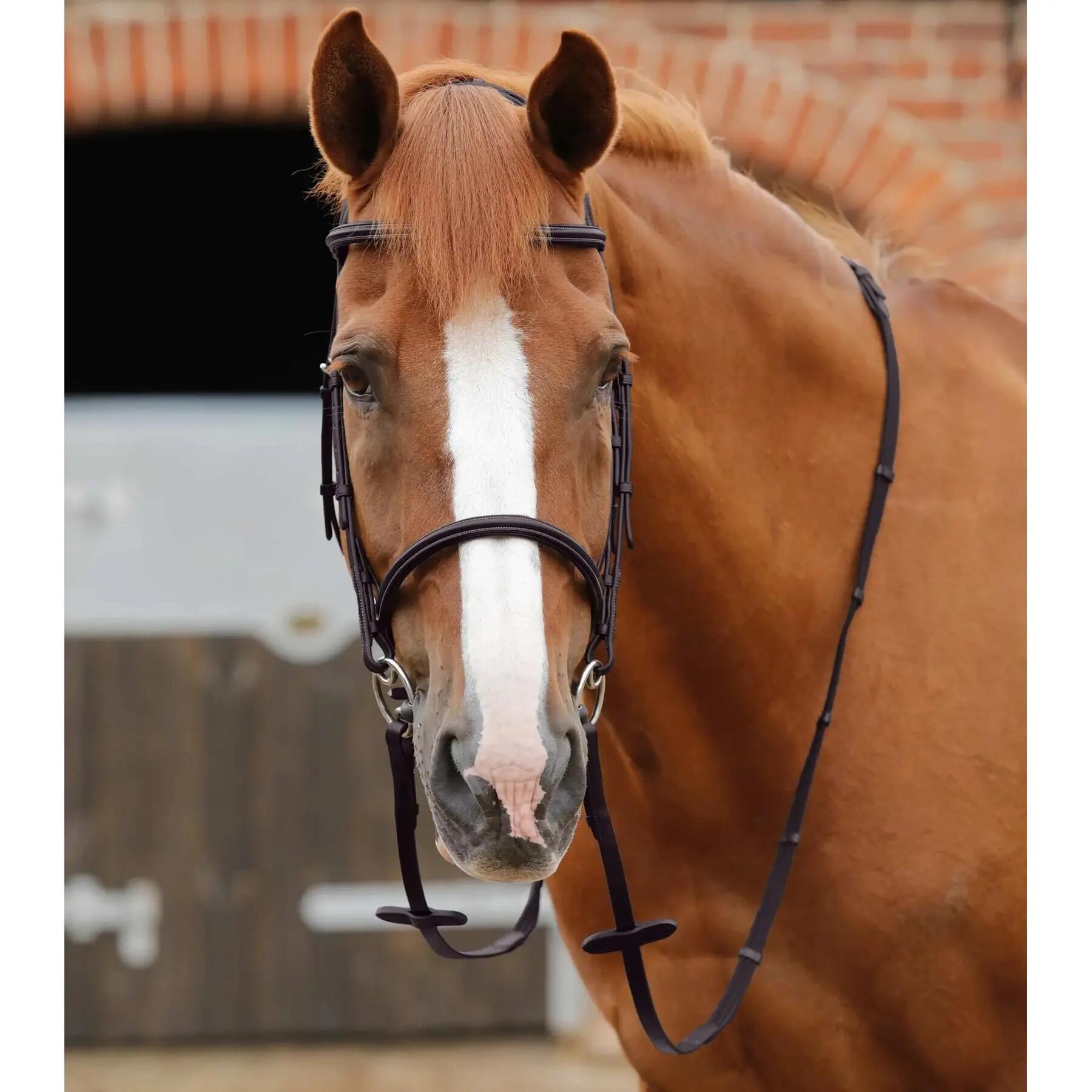 Redini per cavalli Premier Equine Altare Web 2/5