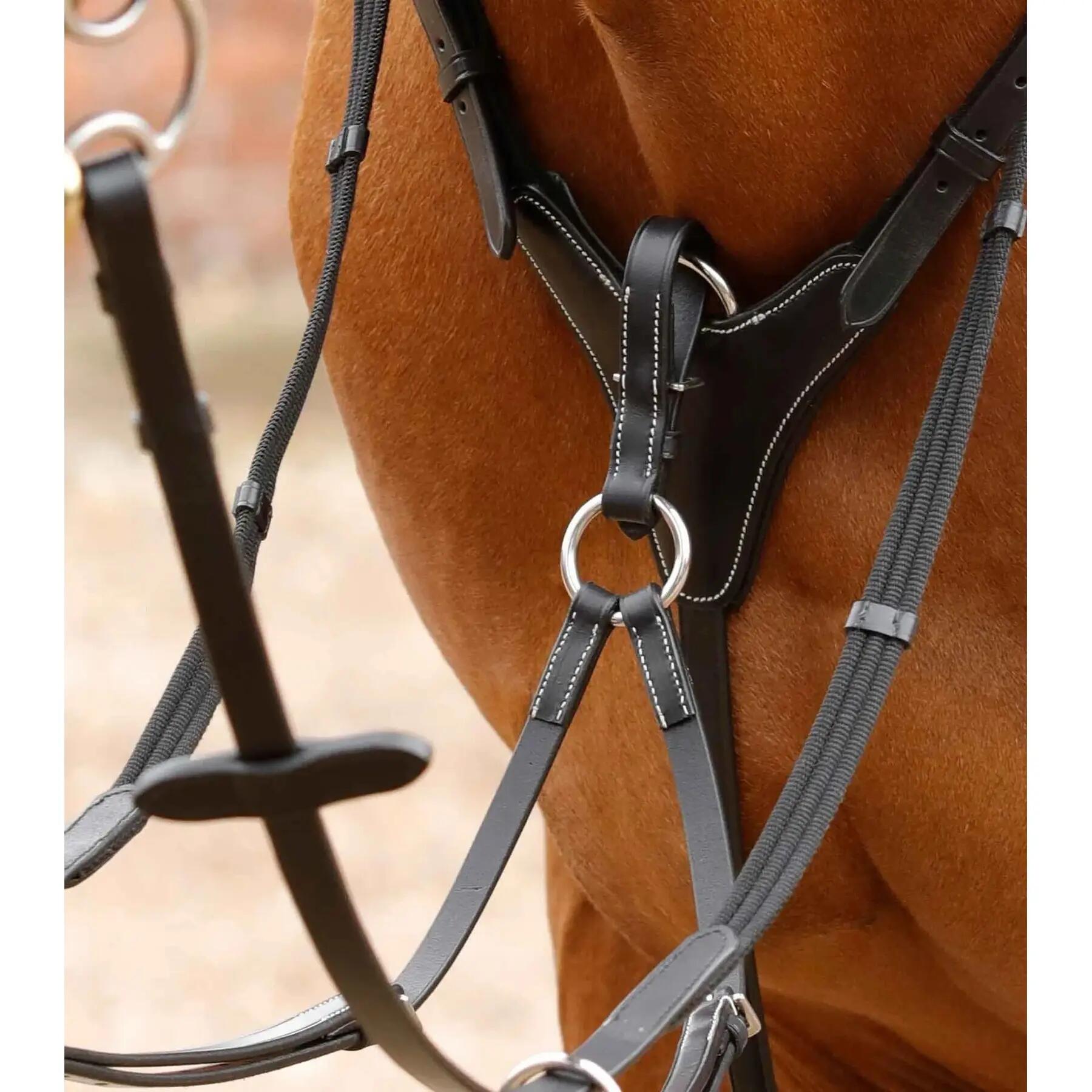Collier de chasse pour cheval Premier Equine Norbello 2/4