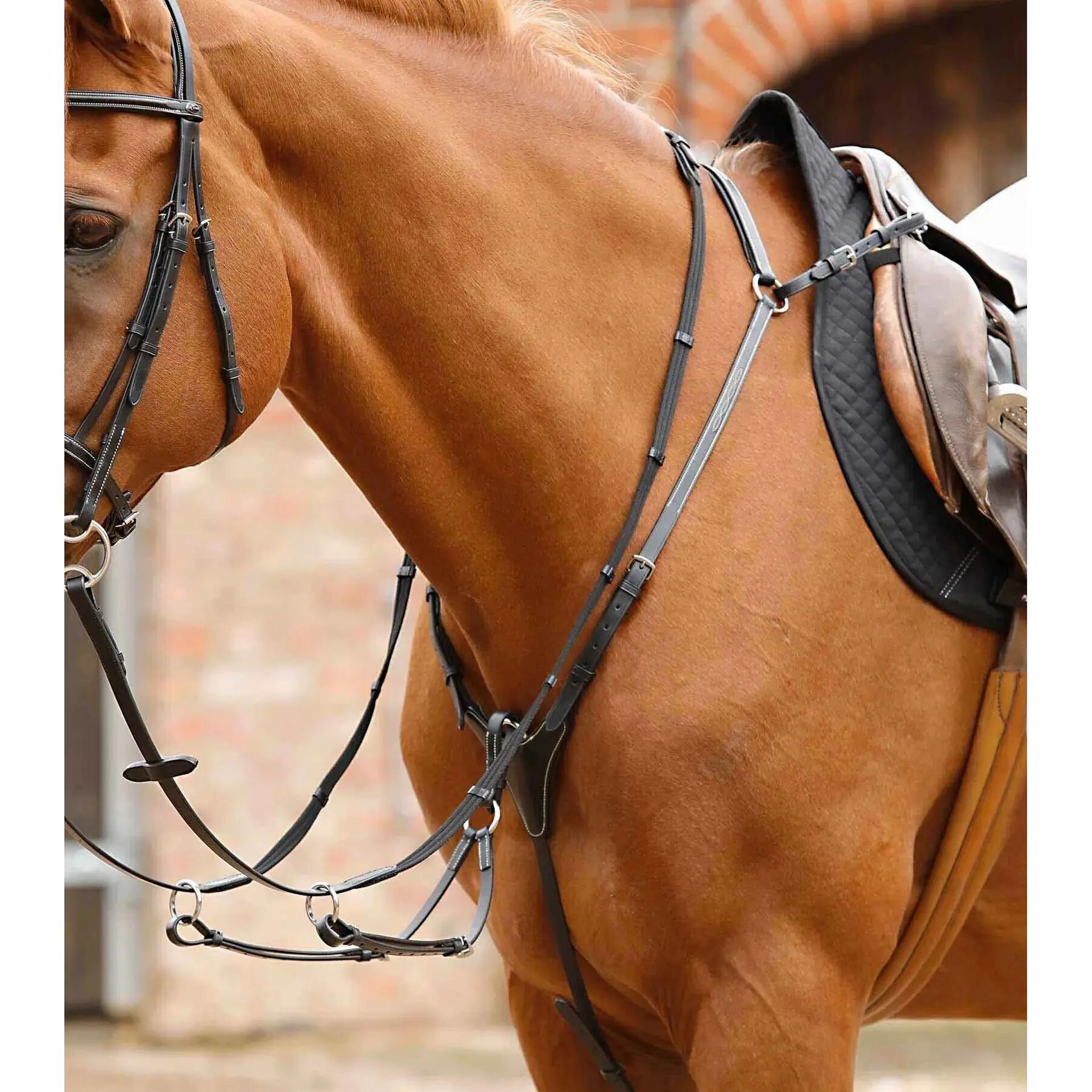 PREMIER EQUINE picture