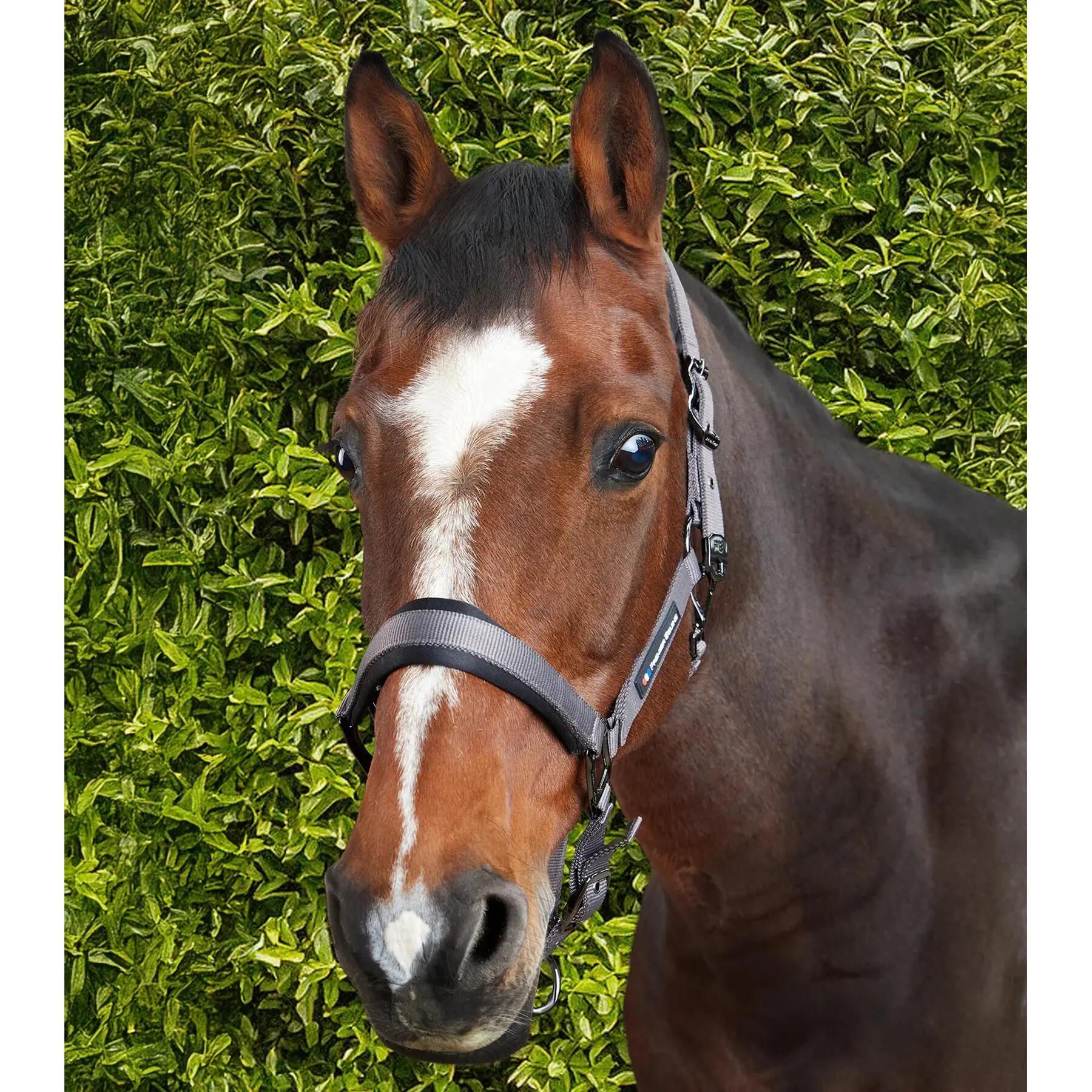 Nylon halster voor paard Premier Equine Corda 3/6