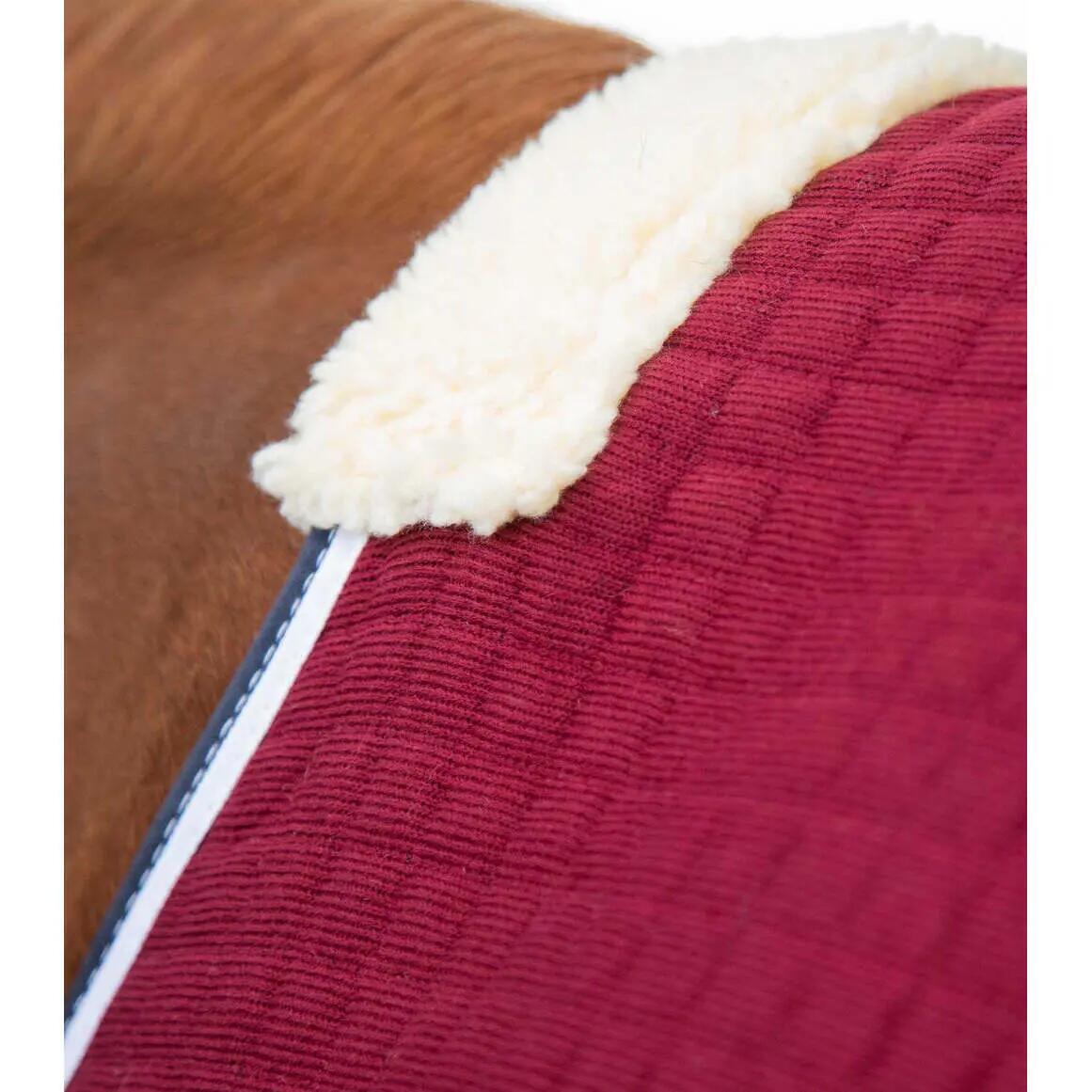 Camisa de secagem para cavalos Premier Equine Premtex 3/5