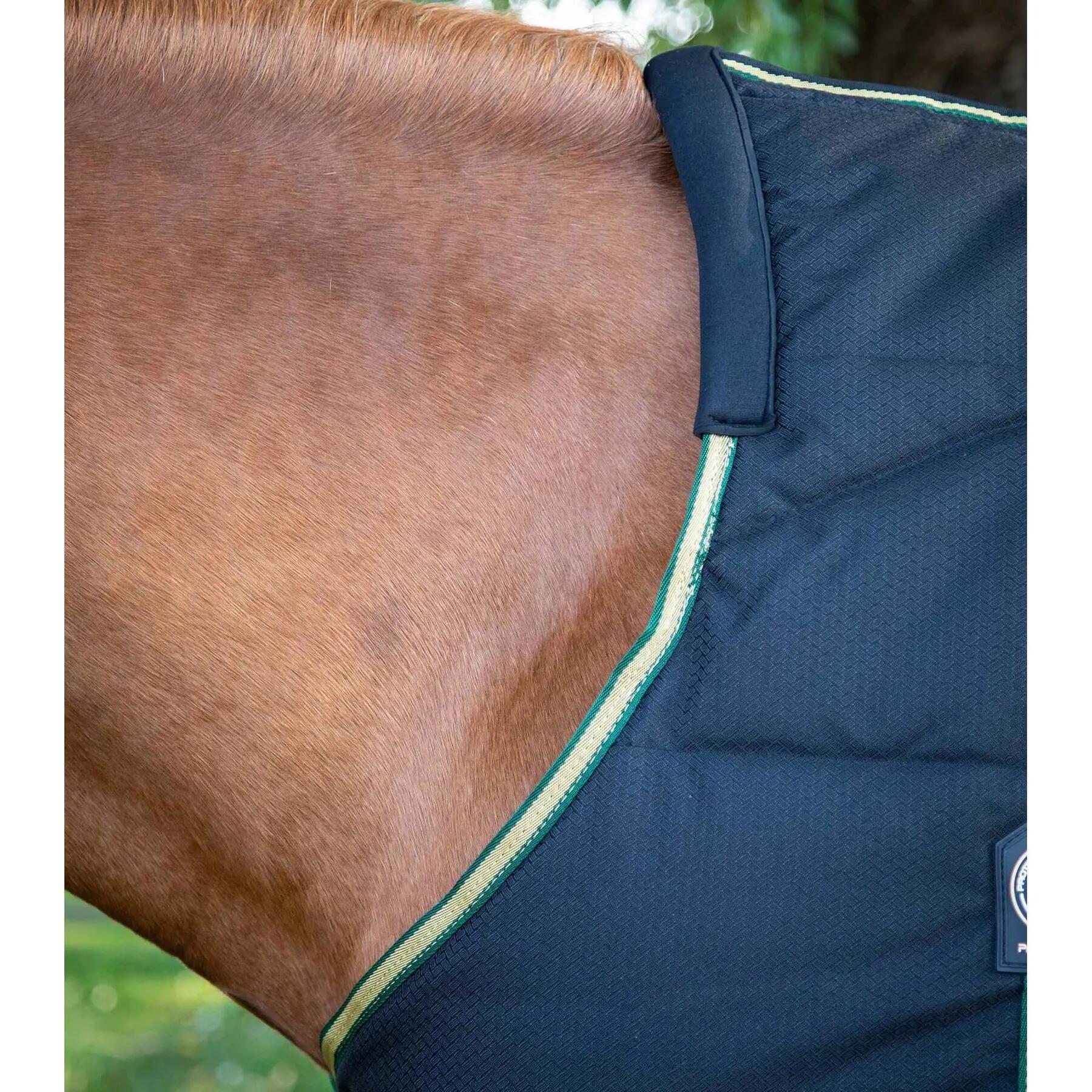 Coperta da stalla per cavalli Premier Equine Lucanta 450 g 3/4