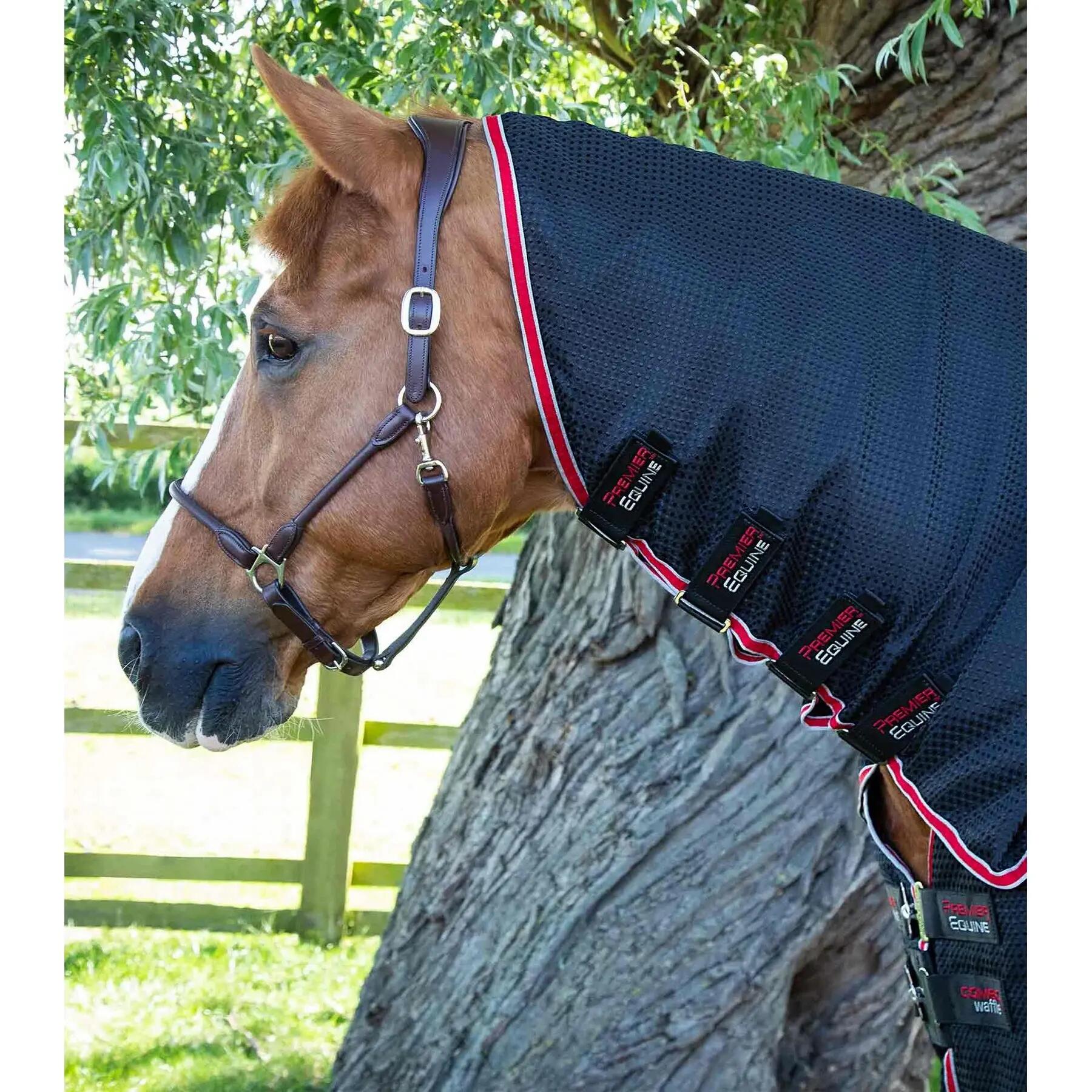 Coperta asciugante per cavalli con copricollo Premier Equine 3/3