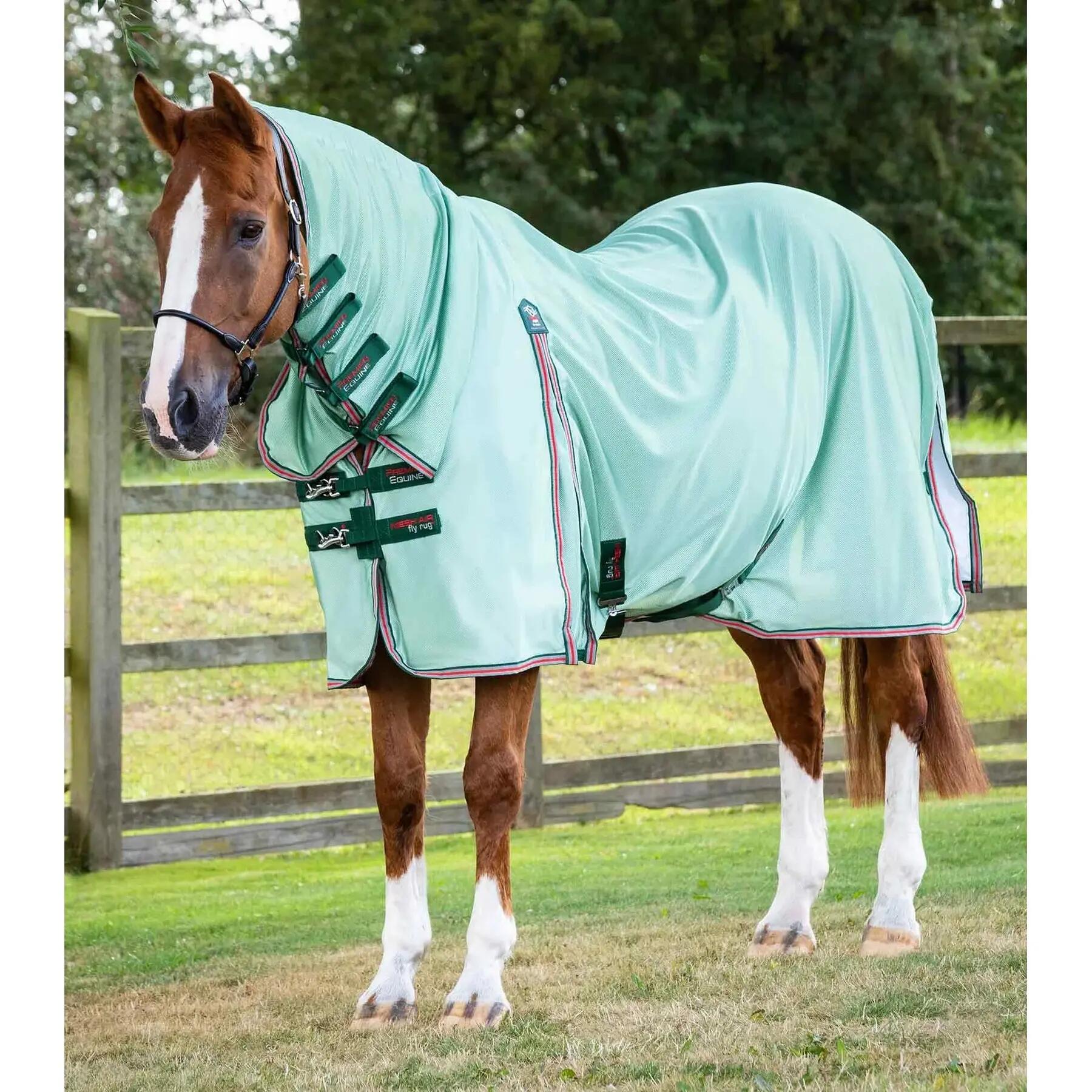 PREMIER EQUINE picture