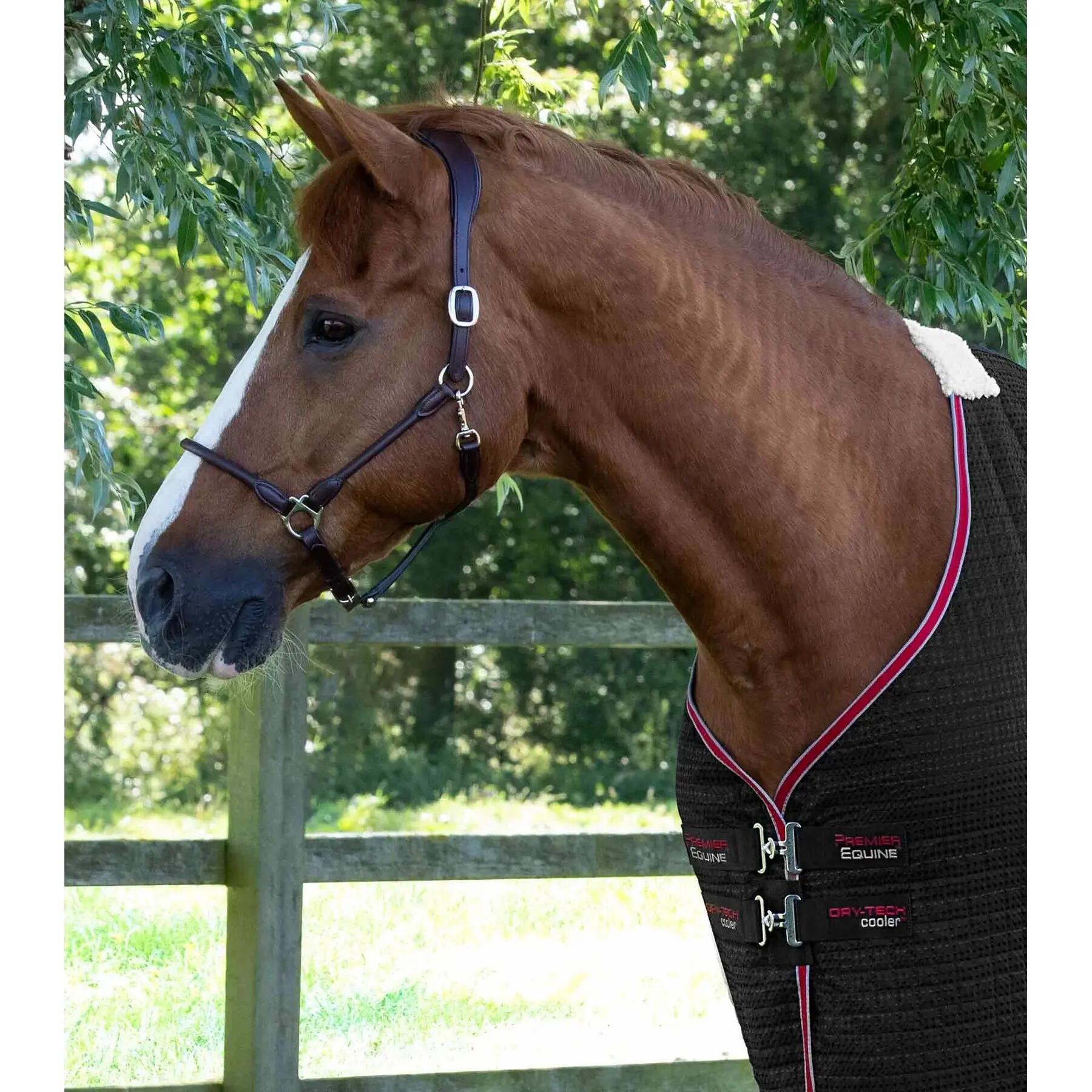 Coperta di asciugatura per cavalli Premier Equine Dry-Tech 5/7