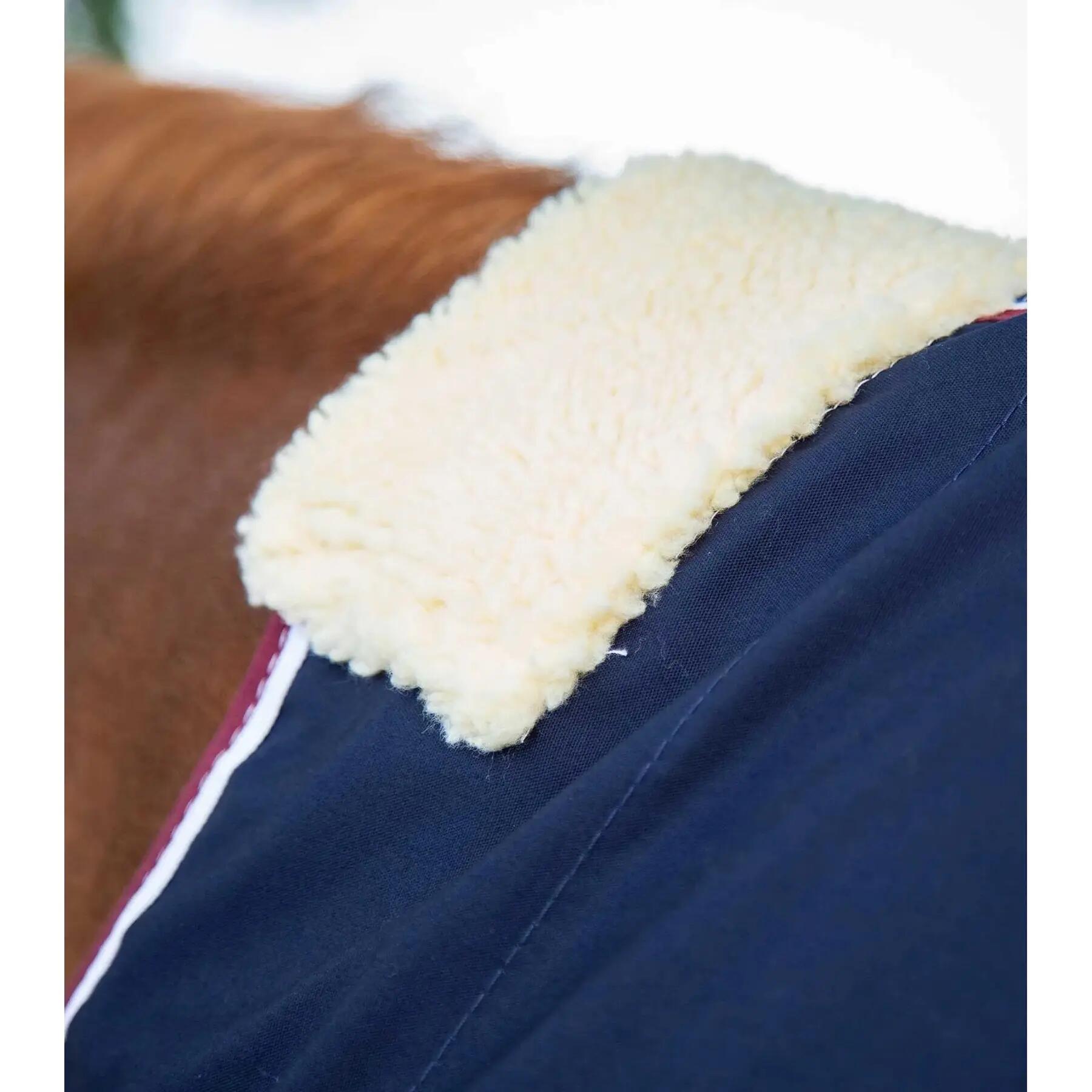Couverture d'écurie pour cheval pour cheval Premier Equine Stratus 2/5