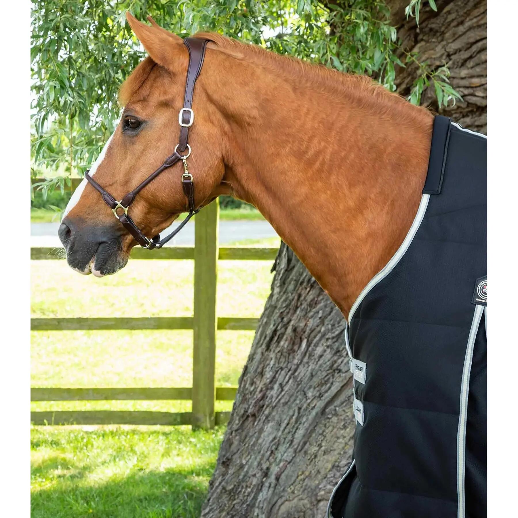 Couverture d'écurie pour cheval Premier Equine Lucanta 100 g 4/4