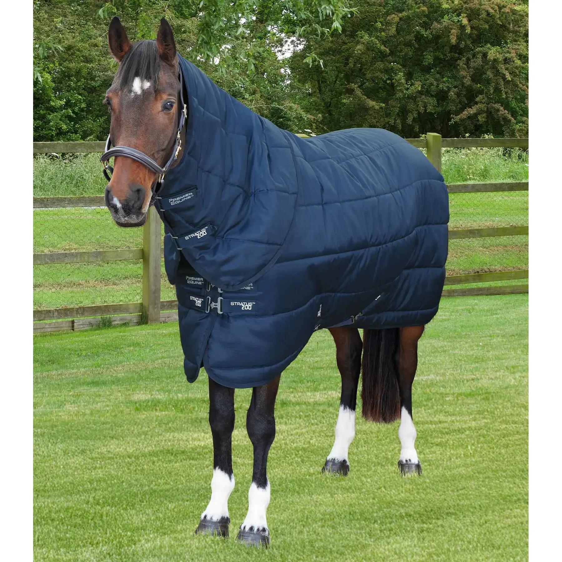 PREMIER EQUINE picture