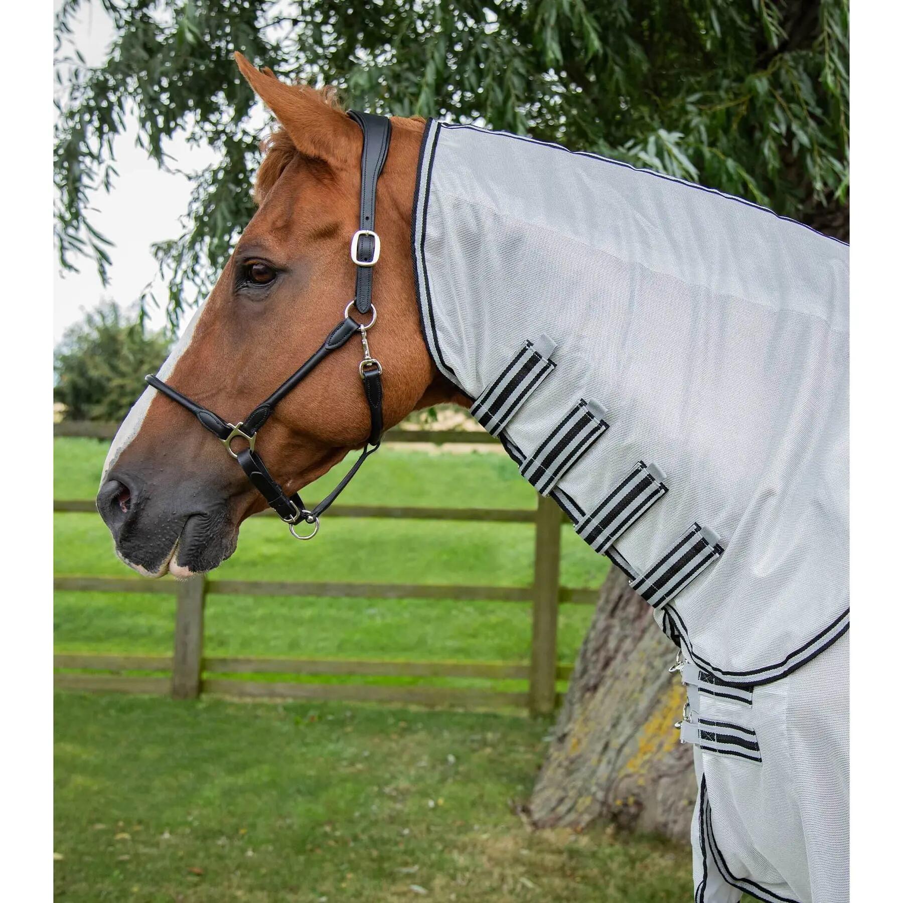 Couverture anti-mouches avec couvre-cou pour cheval Premier Equine Fly Lite 6/6