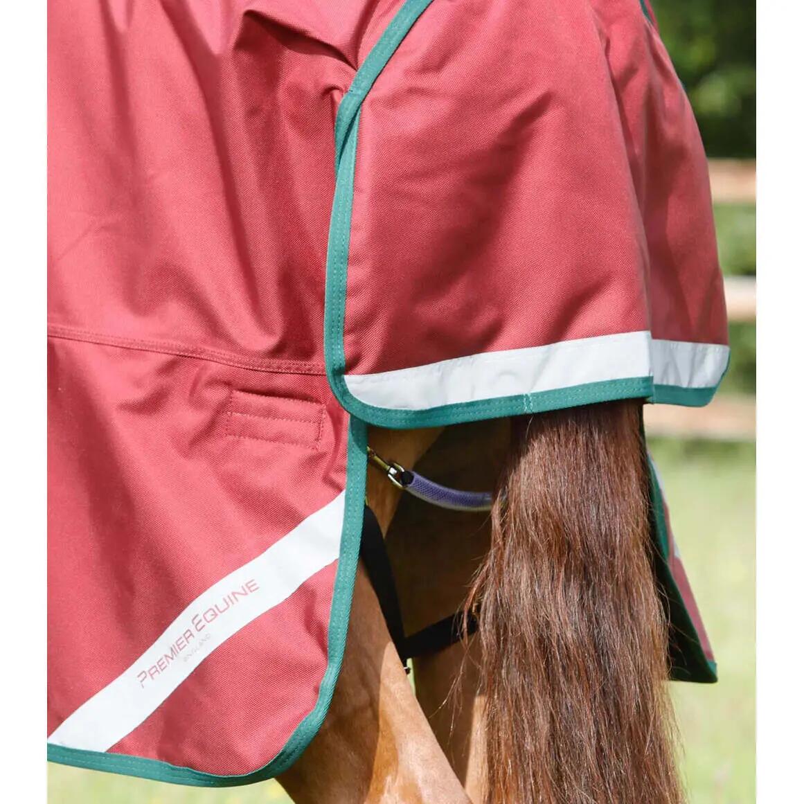 Outdoor paardendeken Premier Equine Titan 100 g 6/6