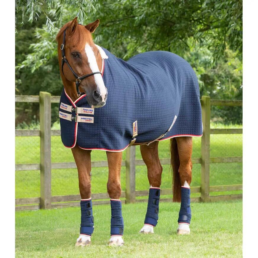 Chemise séchante pour cheval Premier Equine Premtex 1/5