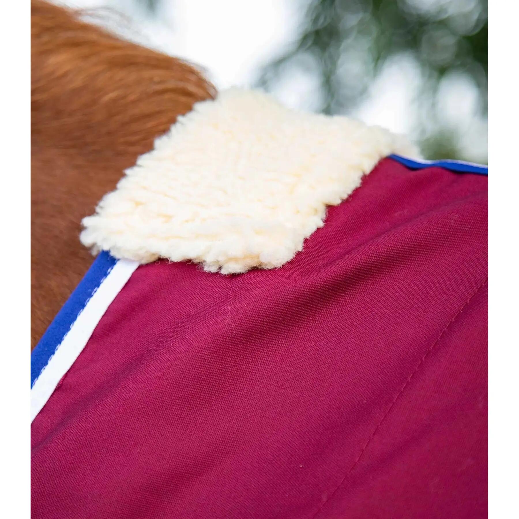 Couverture d'écurie pour cheval pour cheval Premier Equine Stratus 2/4