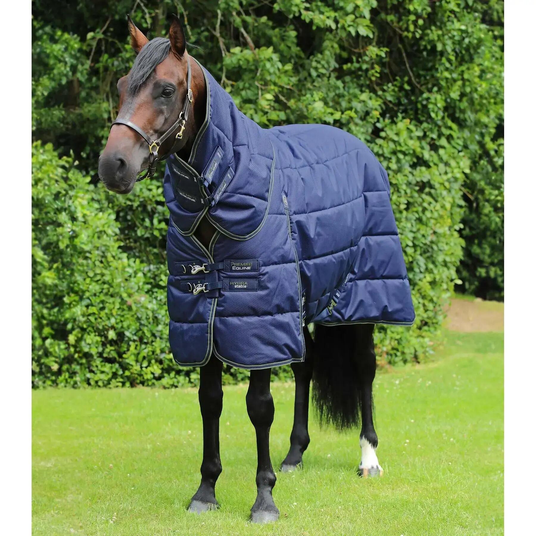 PREMIER EQUINE picture