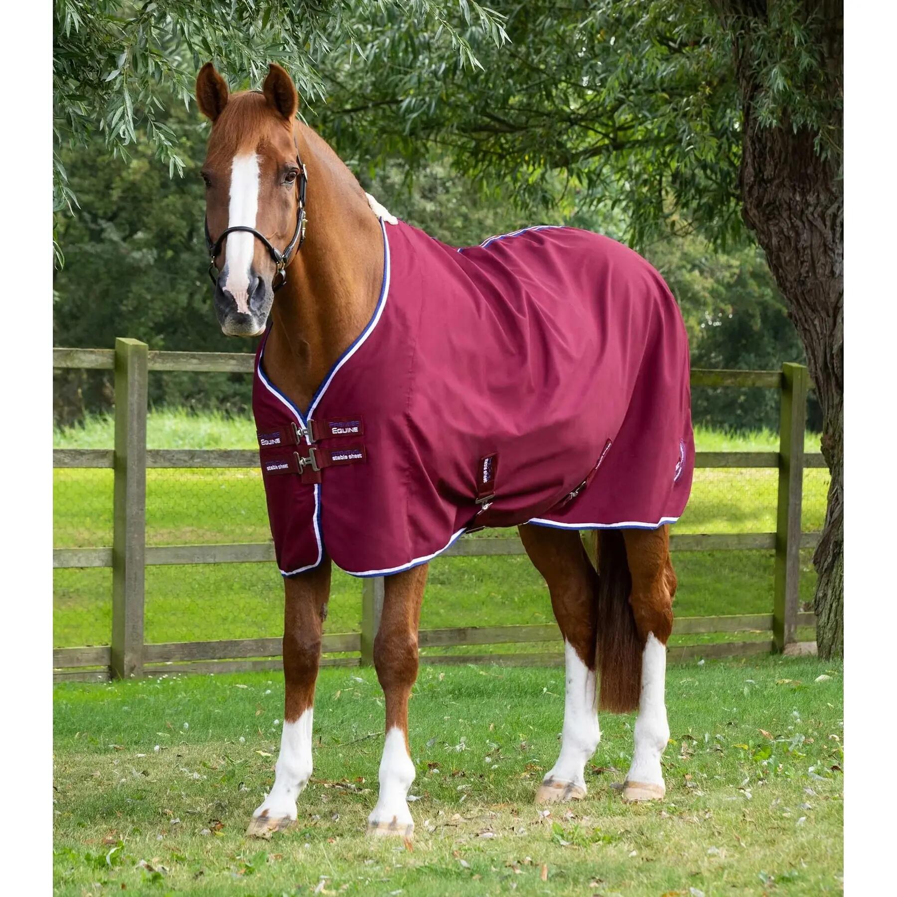 PREMIER EQUINE picture