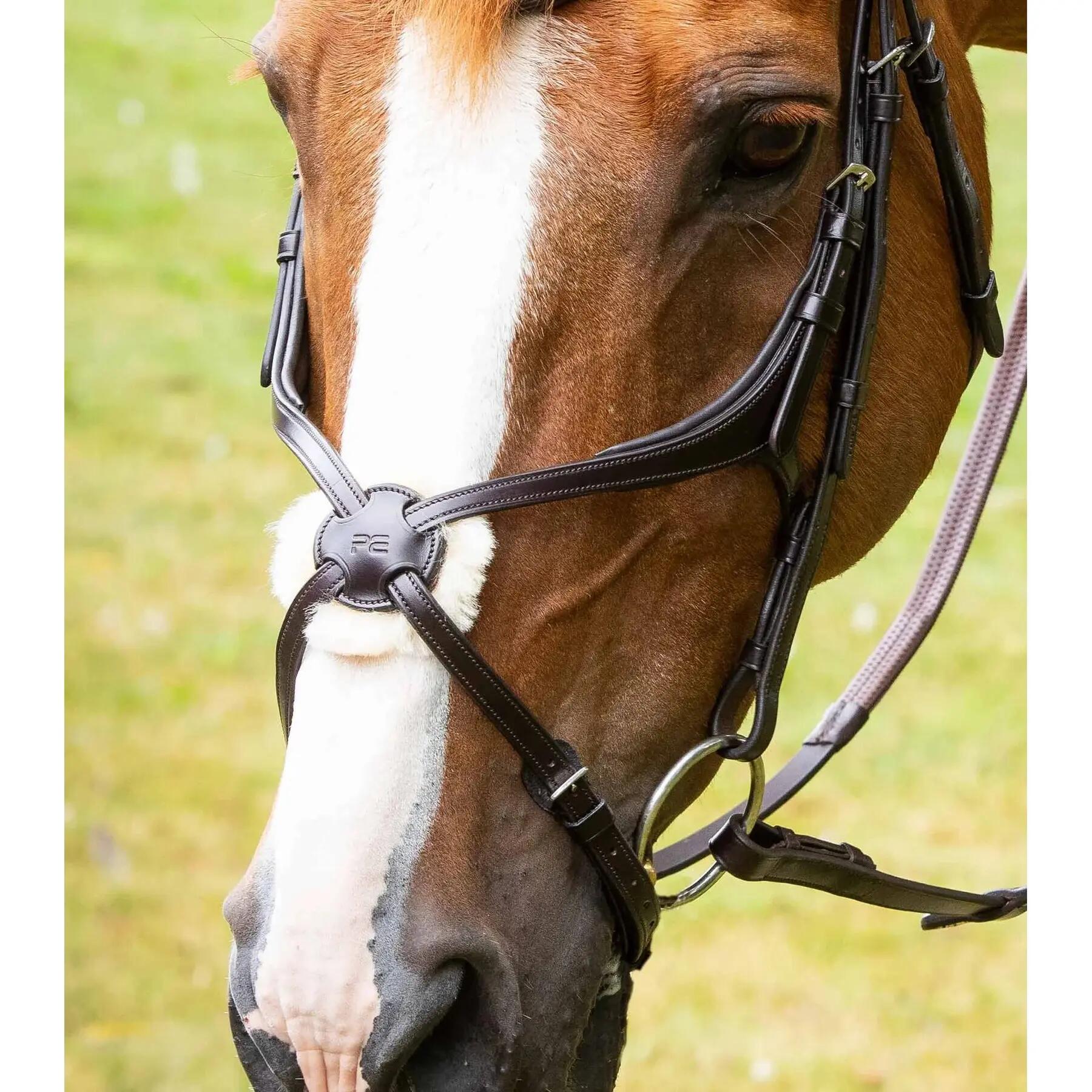 PREMIER EQUINE picture