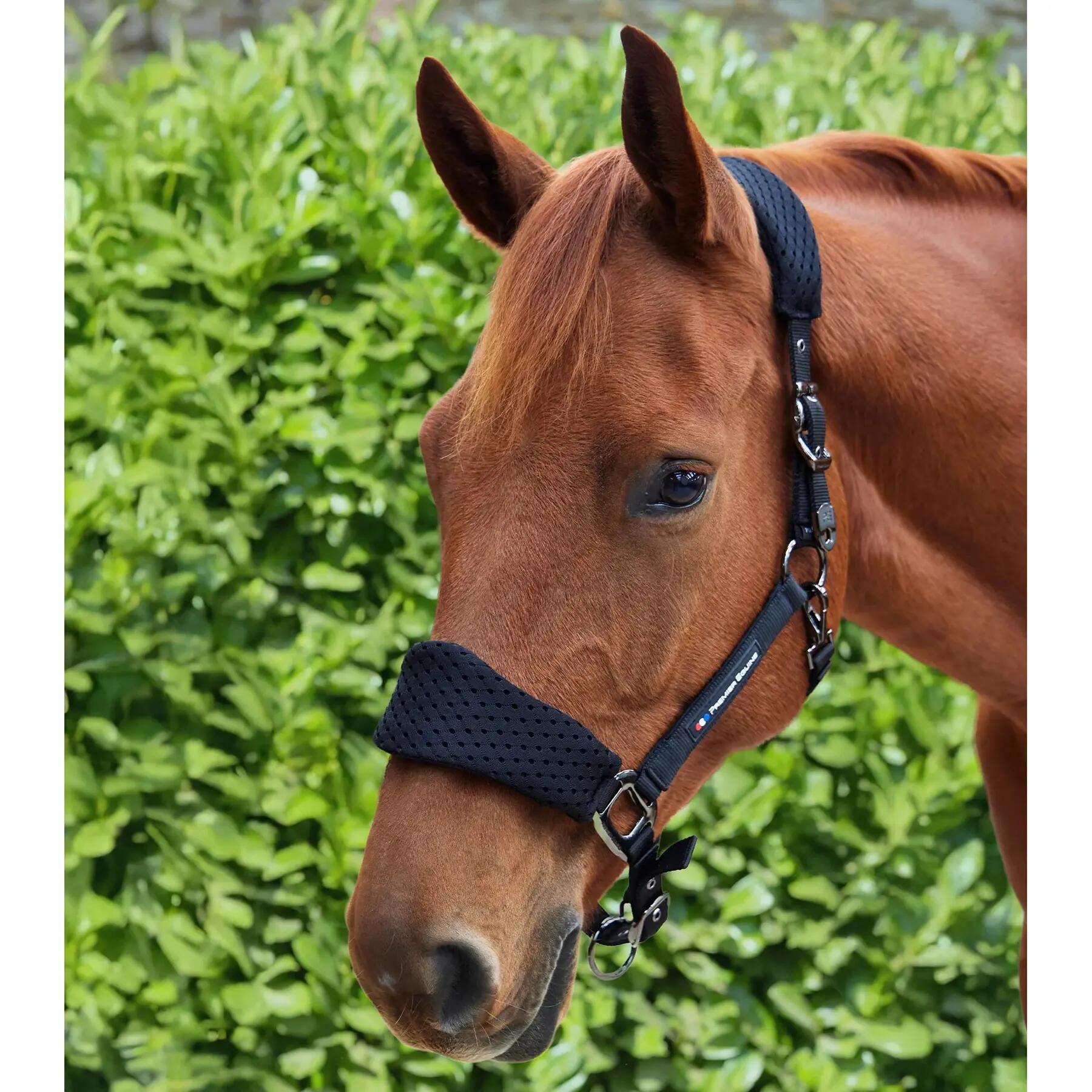 Licol nylon pour cheval Premier Equine Necto 3D 2/6
