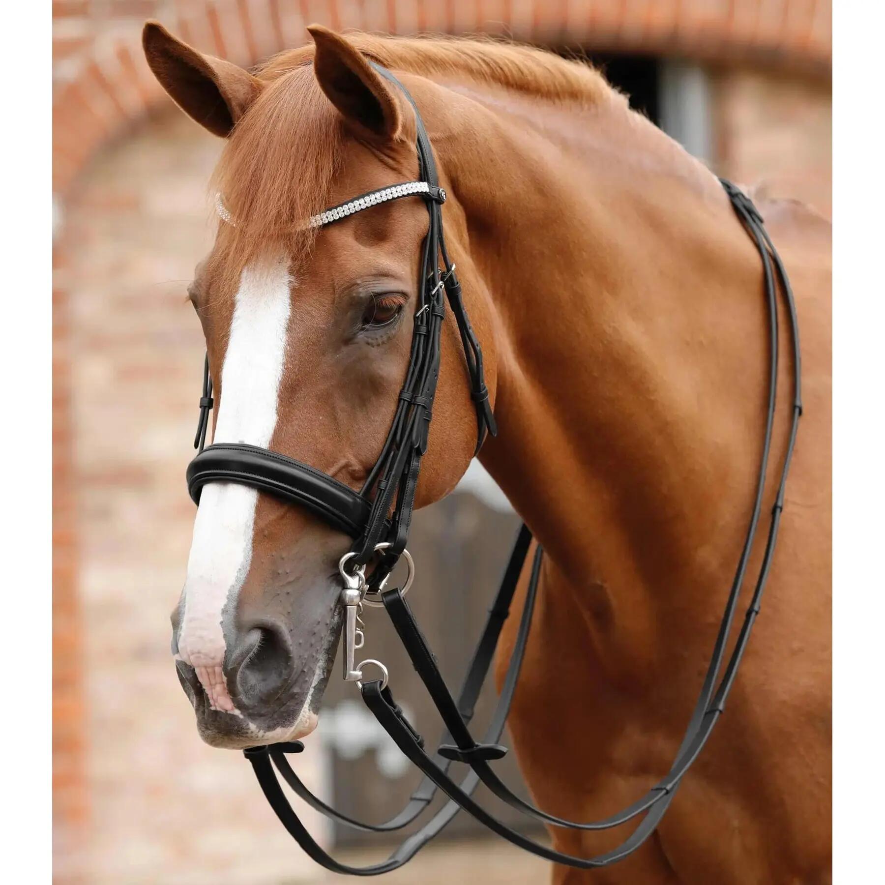 Canne in pelle con doppio cinturino Premier Equine Leonardo 3/4