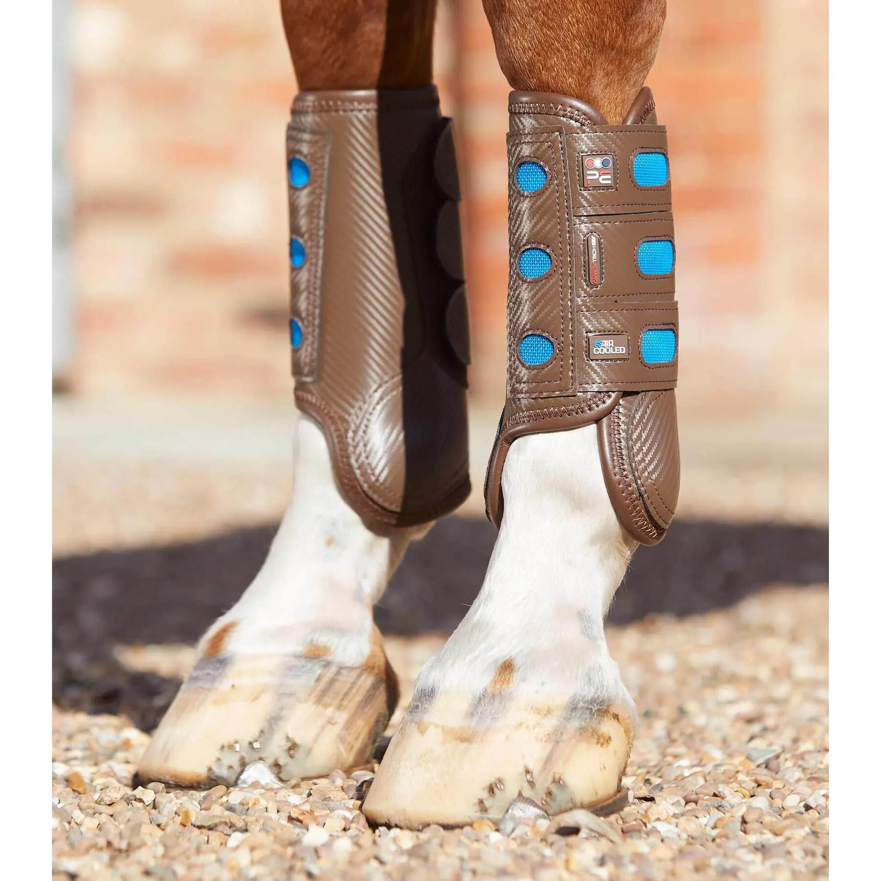 PREMIER EQUINE picture