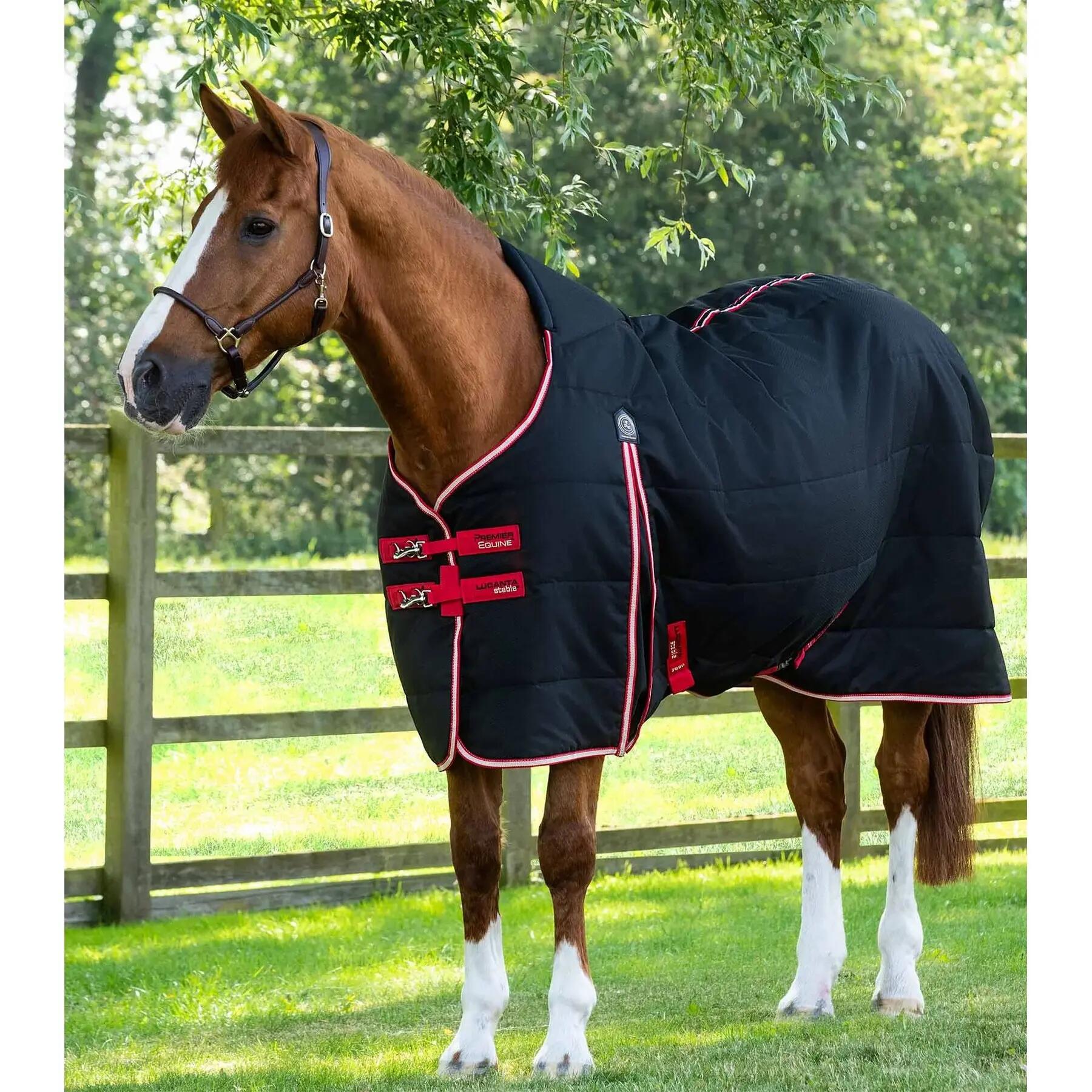 PREMIER EQUINE picture