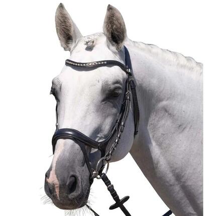 Bride équitation Premier Equine Palazzo