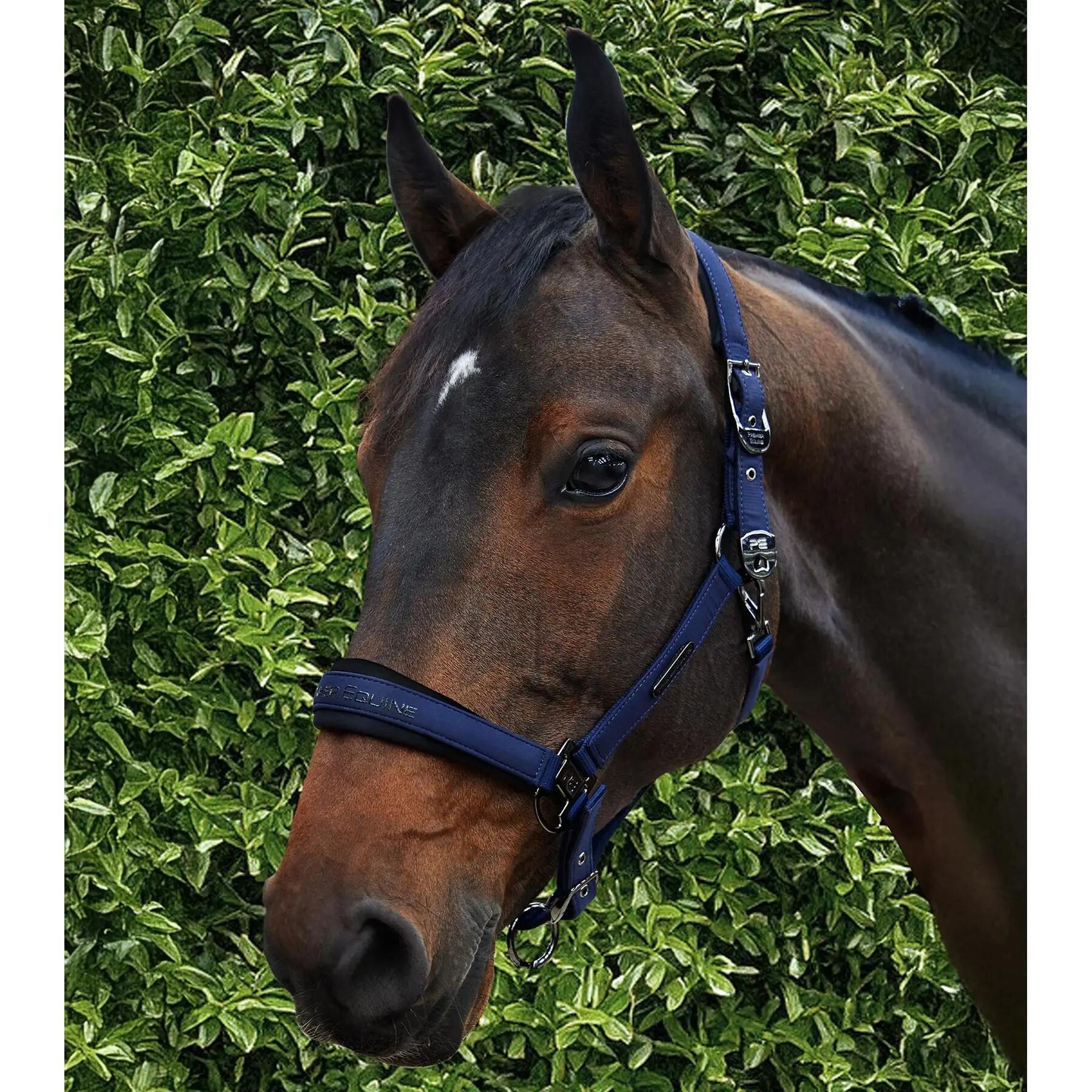 Licol nylon pour cheval Premier Equine Duco 3/6
