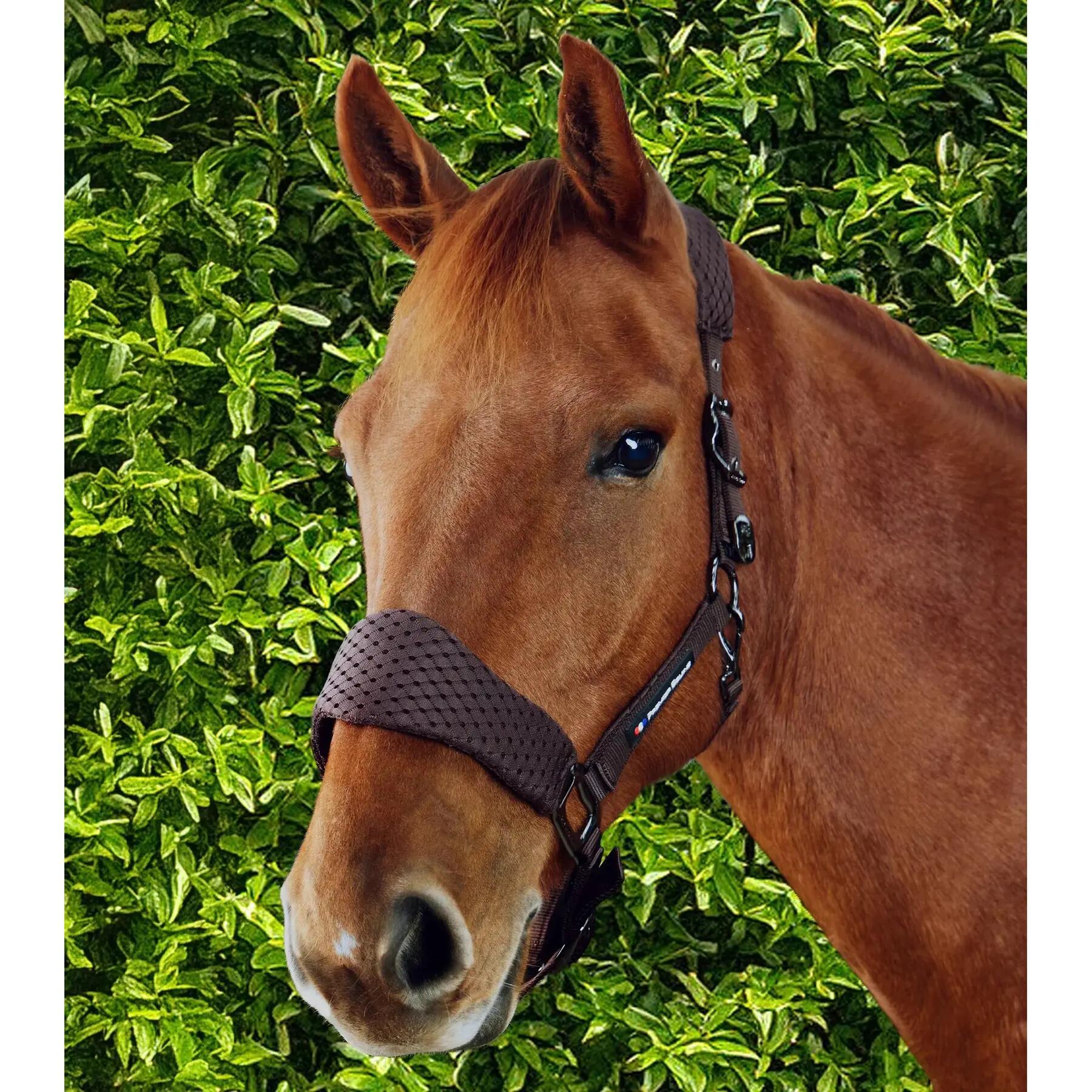 Nylon halster voor paard Premier Equine Necto 3D 2/6