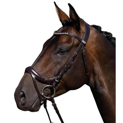 Bride équitation Premier Equine Palazzo