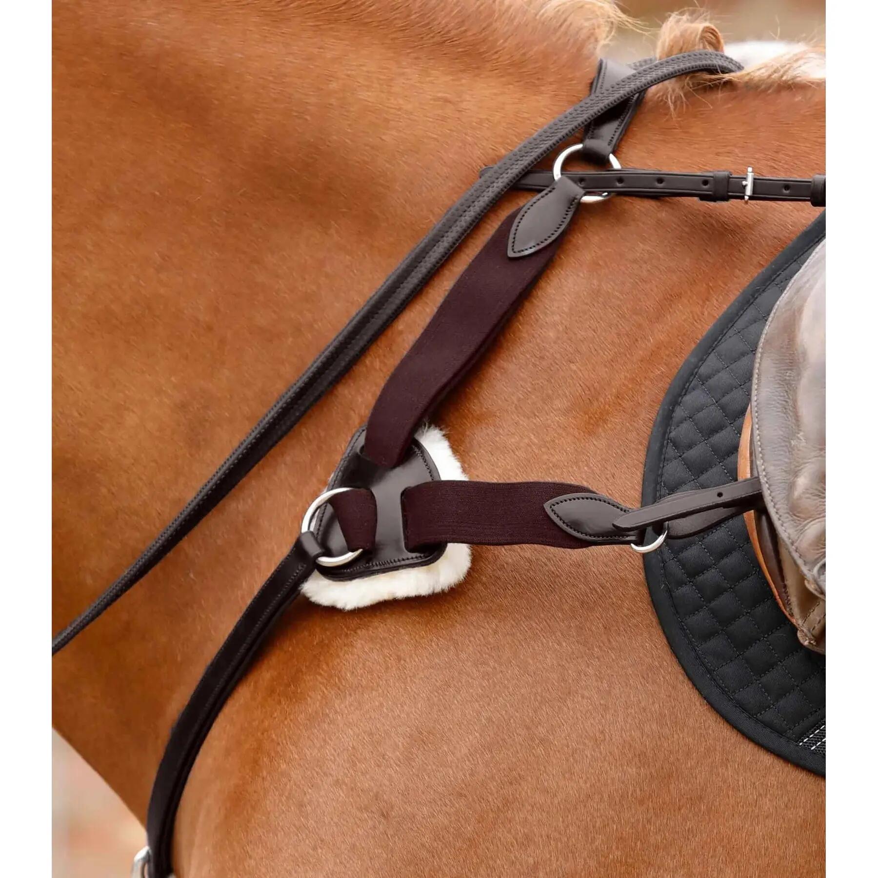 Collare da caccia per cavalli a 5 punte Premier Equine Invorio 2/2