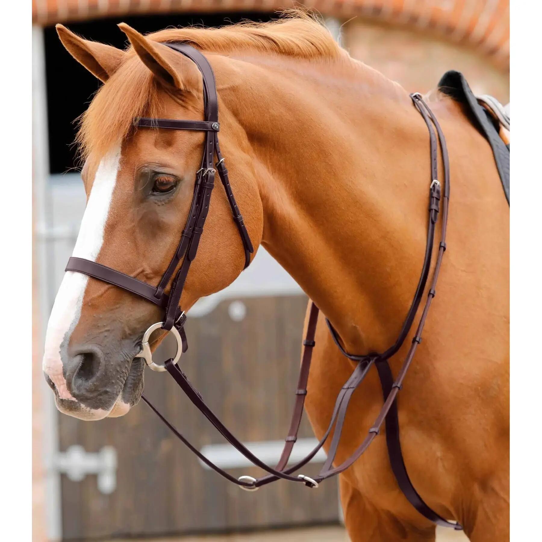 Martingala per cavalli Premier Equine Fuscaldo 3/4