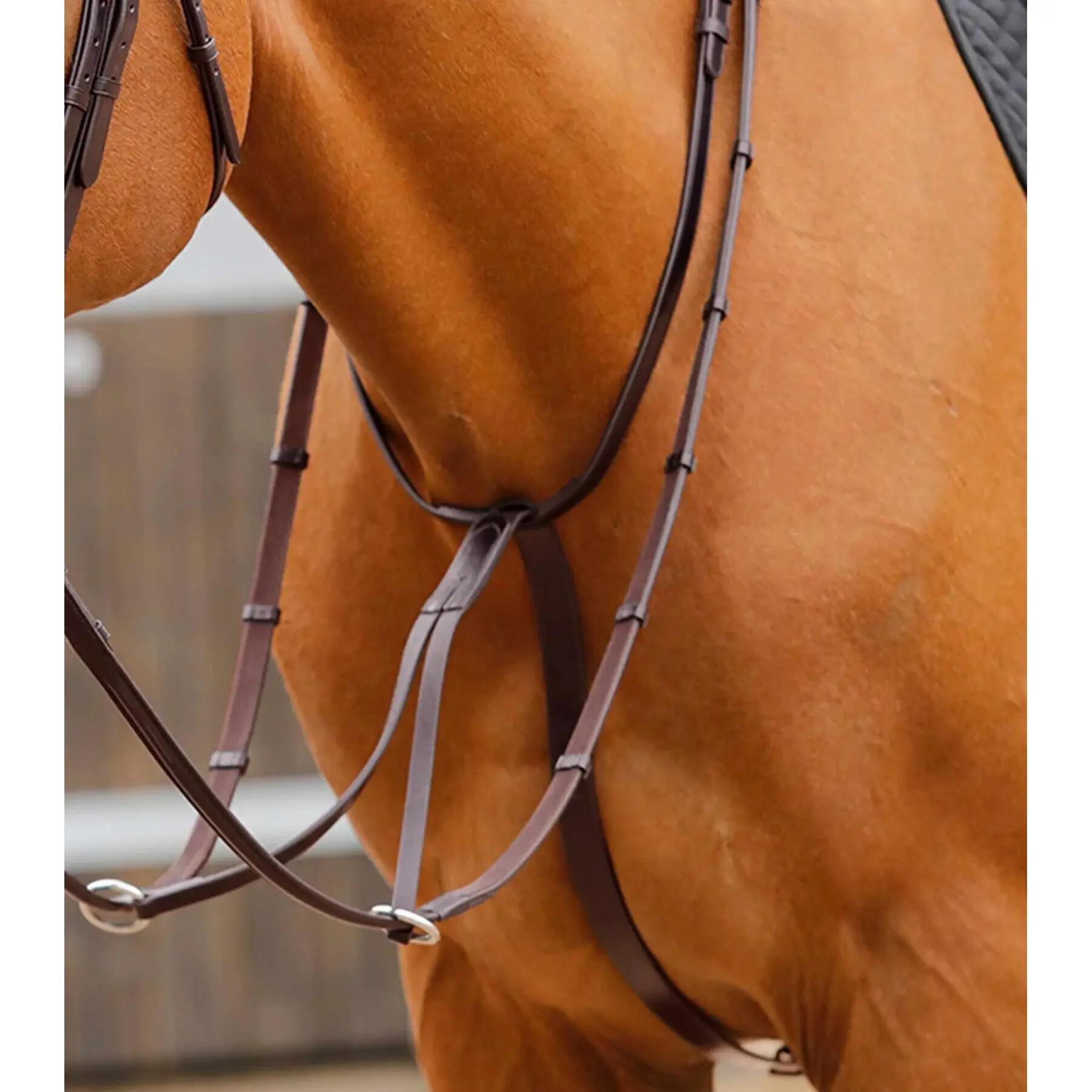 Martingale D'entraînement Running – Cuir Marron – Vespucci