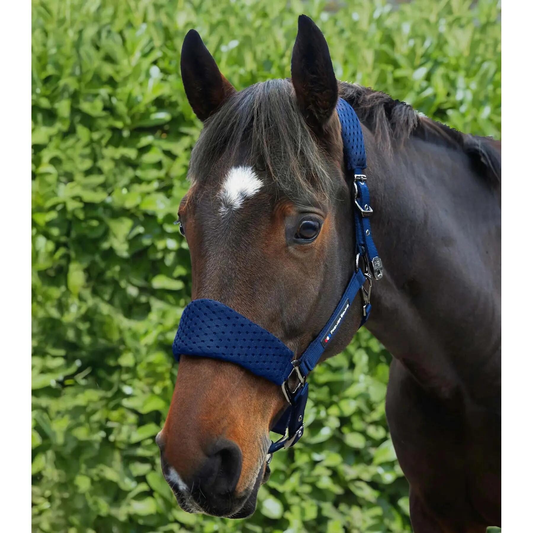 Licol nylon pour cheval Premier Equine Necto 3D 2/5