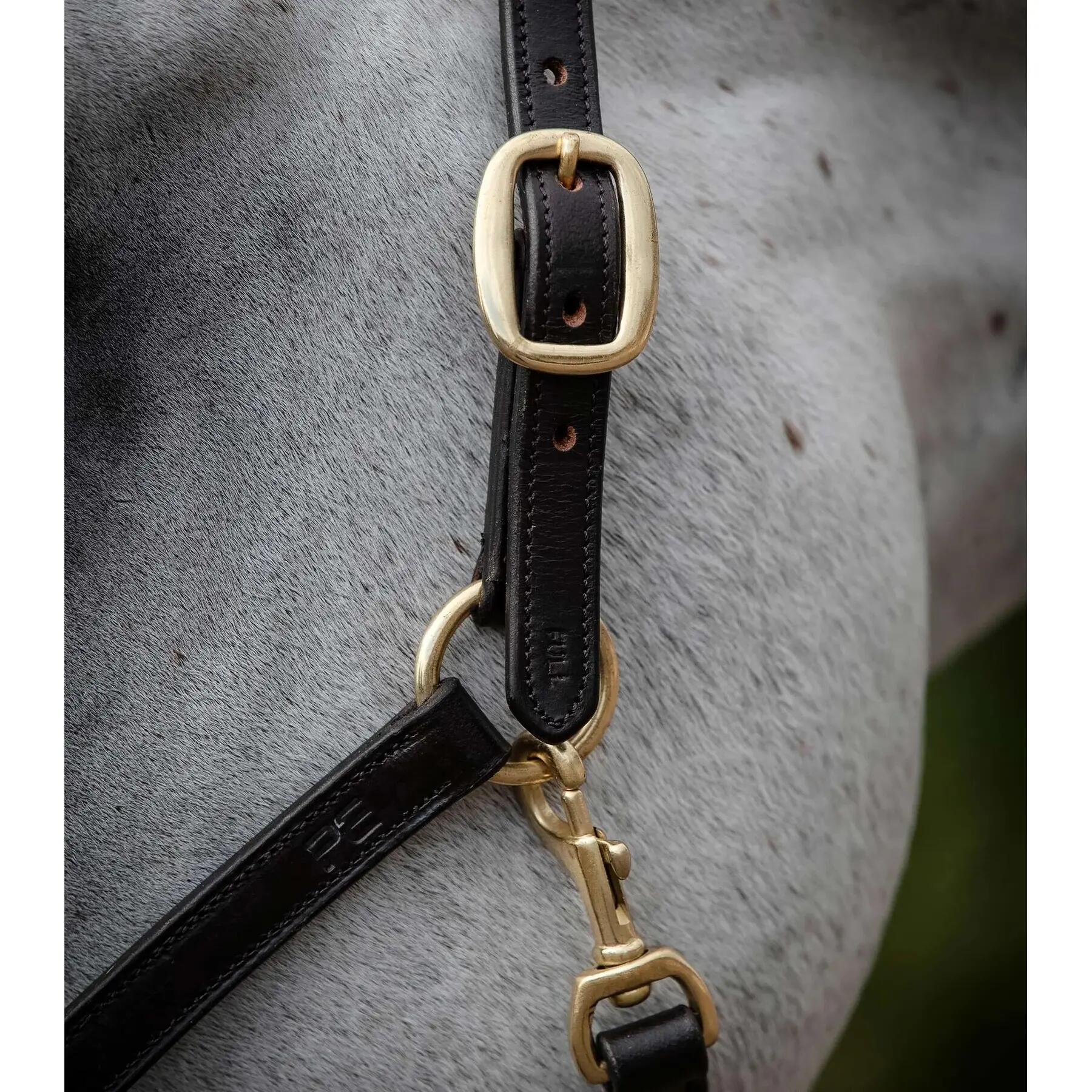 Licol pour cheval rembourré cuir Premier Equine 4/4